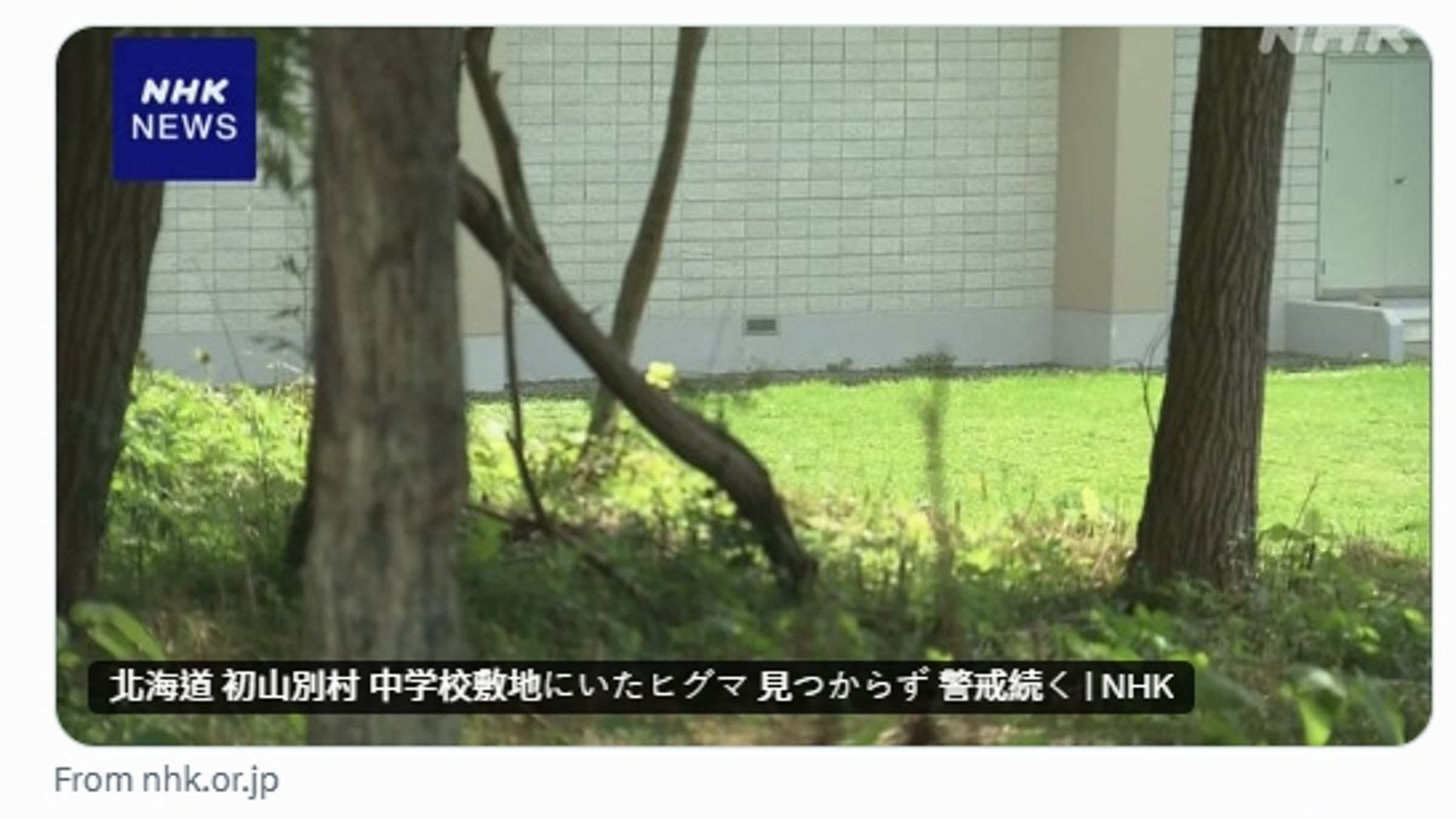 北海道一所國中有也有熊出沒的身影,該熊遭槍擊後逃跑,至今未尋獲。(翻攝自X@nhk_news)