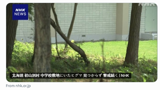北海道一所國中有也有熊出沒的身影，該熊遭槍擊後逃跑，至今未尋獲。（翻攝自X@nhk_news）
