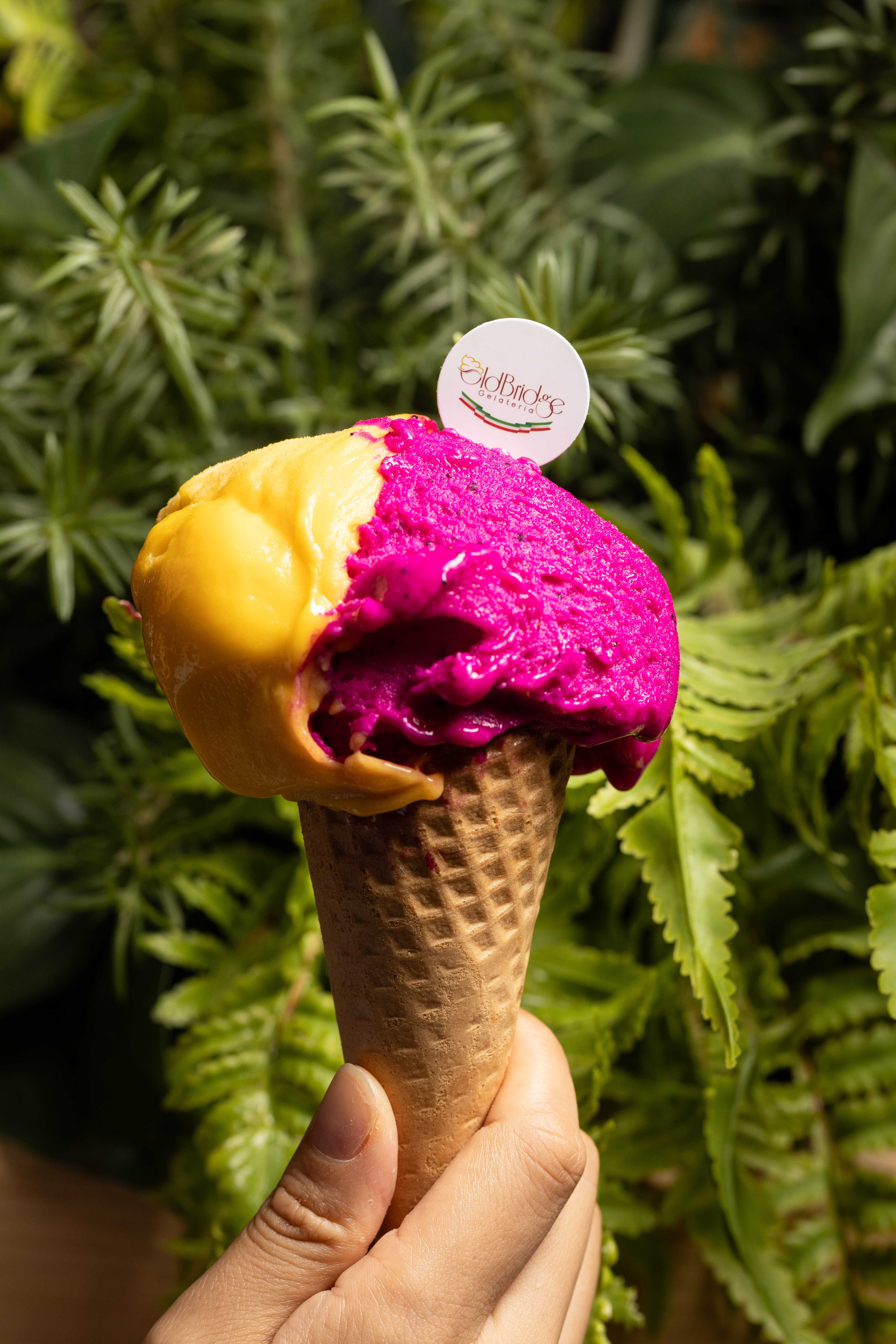 季節水果sorbet「紅龍果」（右）與夏天才吃得到的人氣口味「芒果」（左）。（皆220元／脆皮甜筒，可選兩種口味）