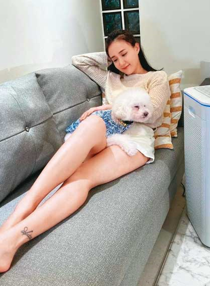 何妤玟的愛犬恰恰是隻貴賓，6個月大時被收養至今，經常在她的社群平台亮相。（翻攝何妤玟IG）
