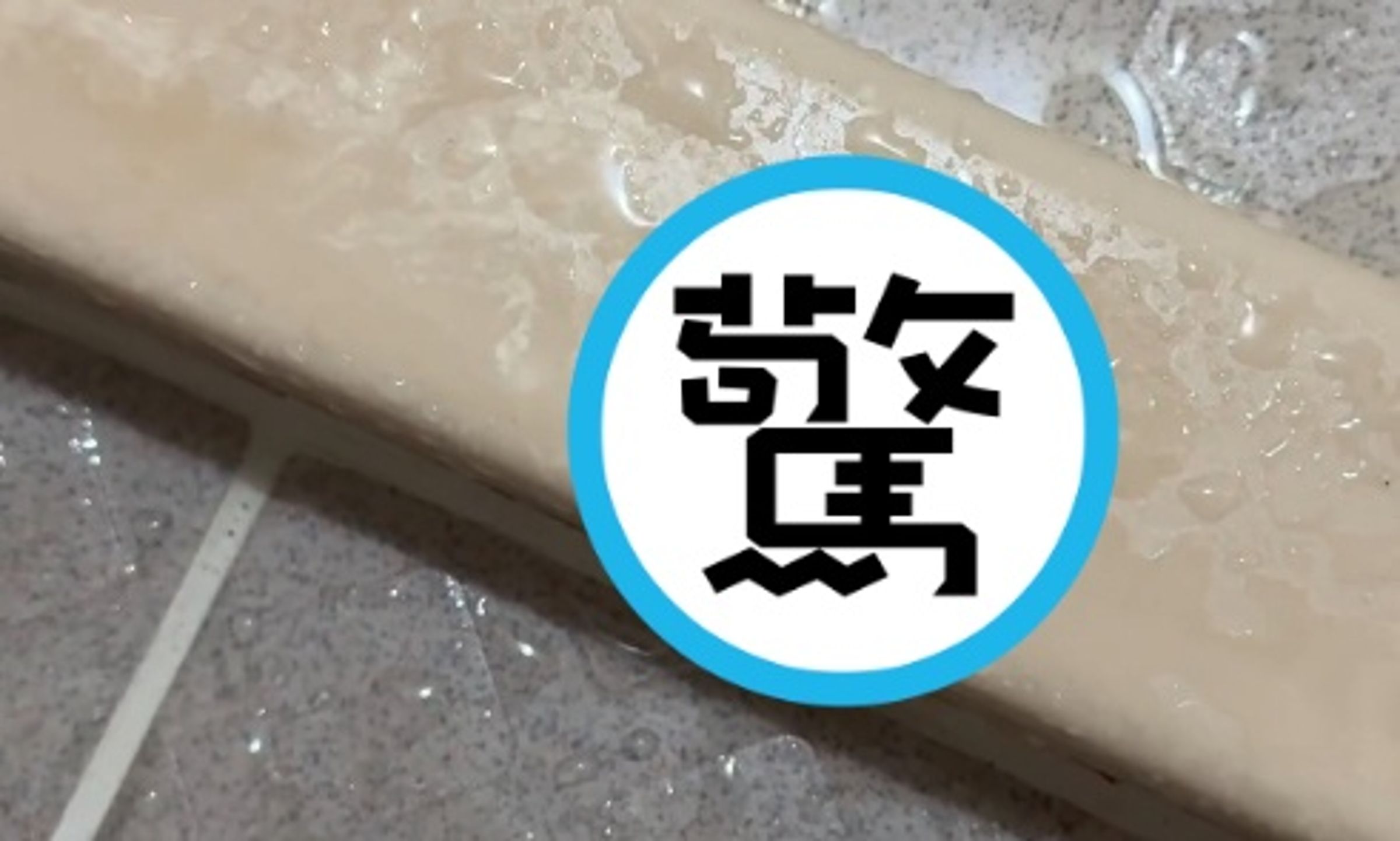 一名網友在家中浴室看見一條很像蚯蚓的生物在地板上蠕動。(翻攝自threads @penghao626)