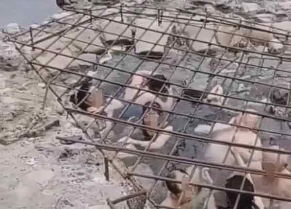 奴性？重慶驚見「水牢溫泉」鋼筋鐵網包圍，人人爭相泡澡。（翻自微博）