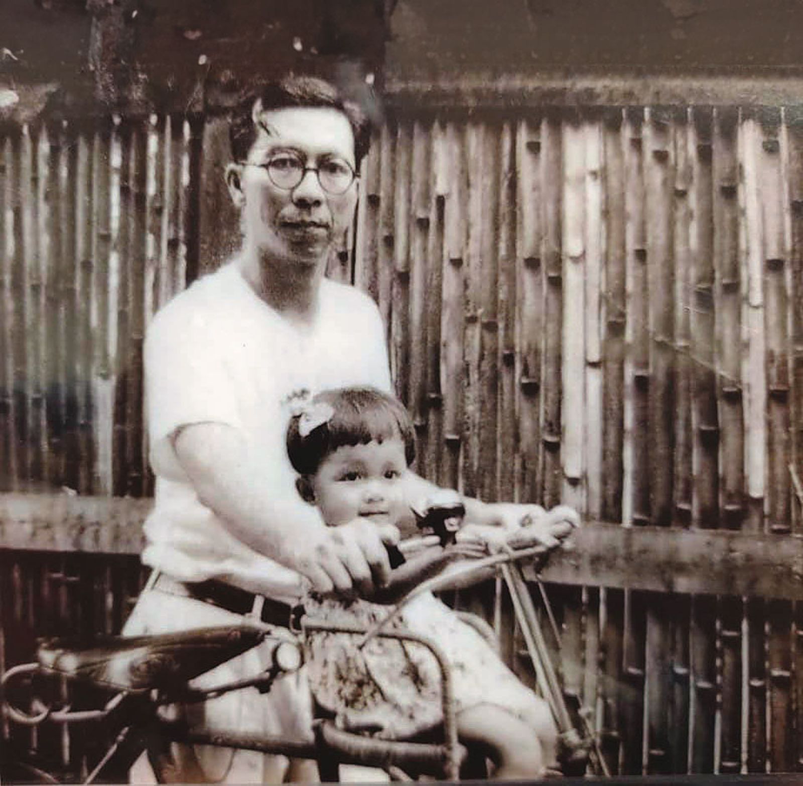 重返義光教會2/228後決定「造反」 田秋堇父親戒嚴時代倒掛國旗以示抗議