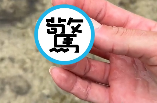 擁有美麗圖案的貝殼，裡面竟藏有劇毒生物，差點釀出大禍。（翻攝自Tiktok @beckyleeinoki）