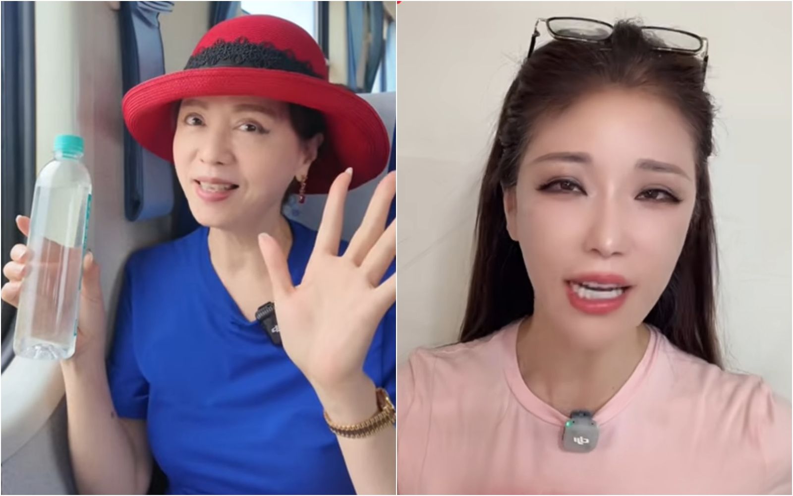 嗆韓粉直播主高鈞鈞「詐騙家族成員」 熊海靈挨告二審免賠!法院認證:她自己講過