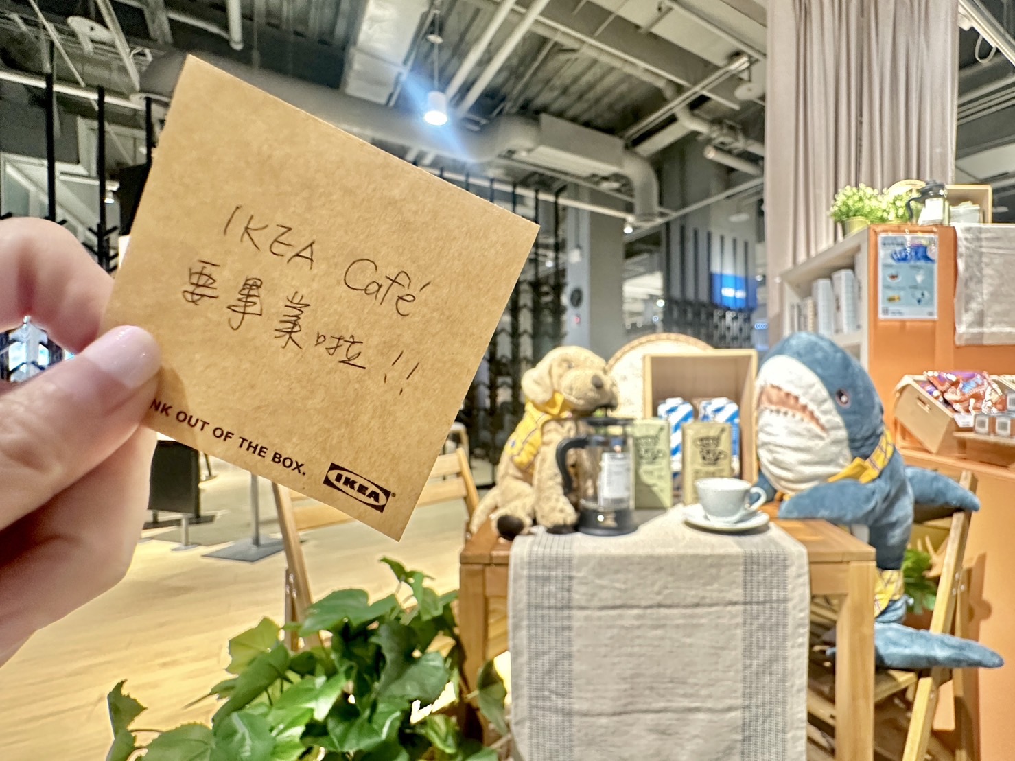 「IKEA Café」帶上玩偶鯊鯊、阿金，宣布「IKEA Café要畢業啦！」（翻攝自「IKEA 宜家家居 新店店」臉書）