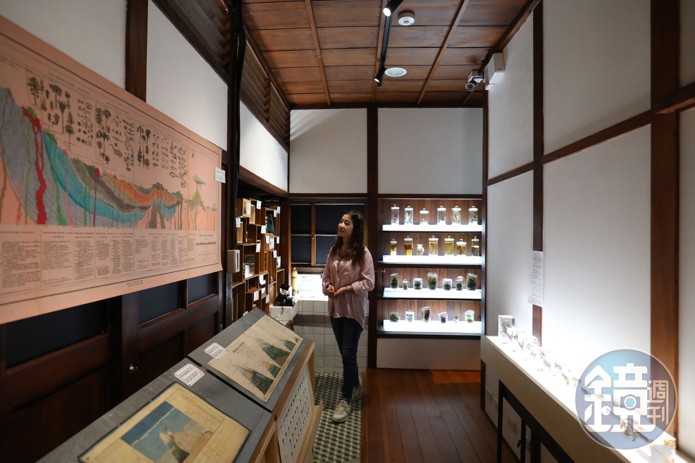 首展「m²」微型展中展出百年前日本博物學家探勘大發現的植物、昆蟲及現代植物採集師拍攝的植物樣態。