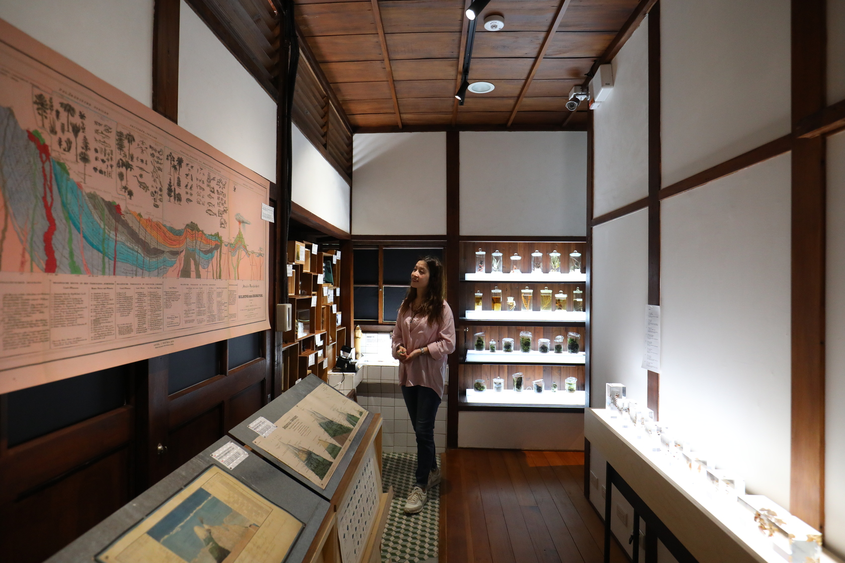 首展「m²」微型展中展出百年前日本博物學家探勘大發現的植物、昆蟲及現代植物採集師拍攝的植物樣態。