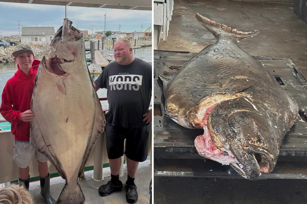 美國13歲少年德尼奧成功釣起80公斤比人還大的巨比目魚。（翻攝自X@nypost）