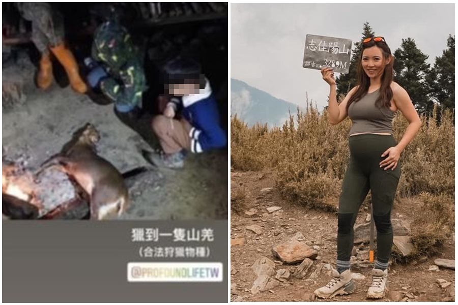 網紅7寶媽「林叨囝仔」Sydney育兒爭議不斷。（翻攝自林叨囝仔IG）