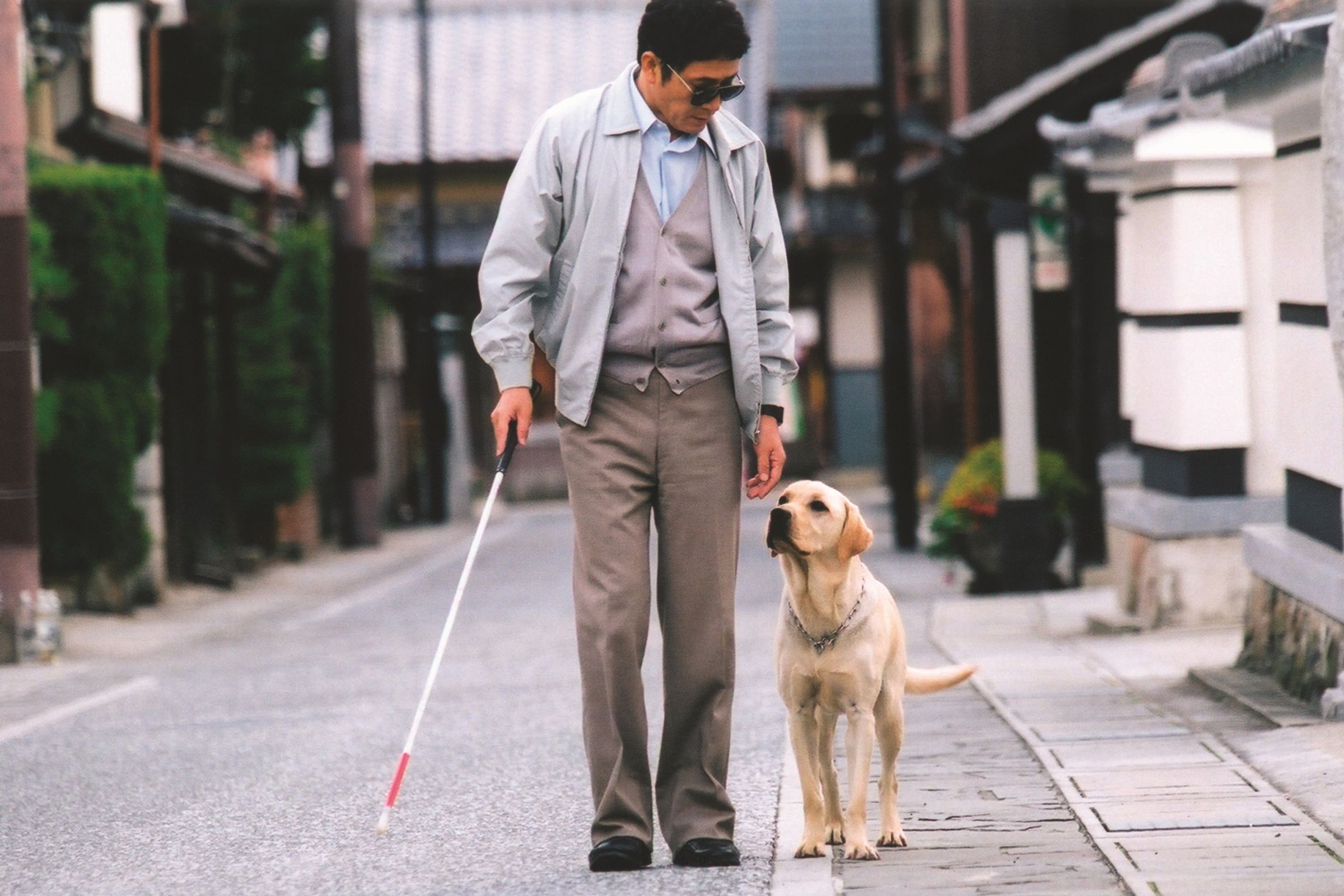 《再見了,可魯》呈現導盲犬與視障者飼主的深厚情感連結,左為男主角小林薫。(采昌國際多媒體提供)