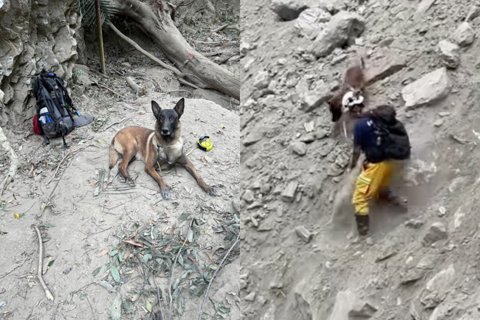 搜救犬傳八與領犬員在斜坡上出任務，傳八表示：「我有照顧好把拔唷～」（圖／翻攝自搜救犬「羅傑計劃」臉書）