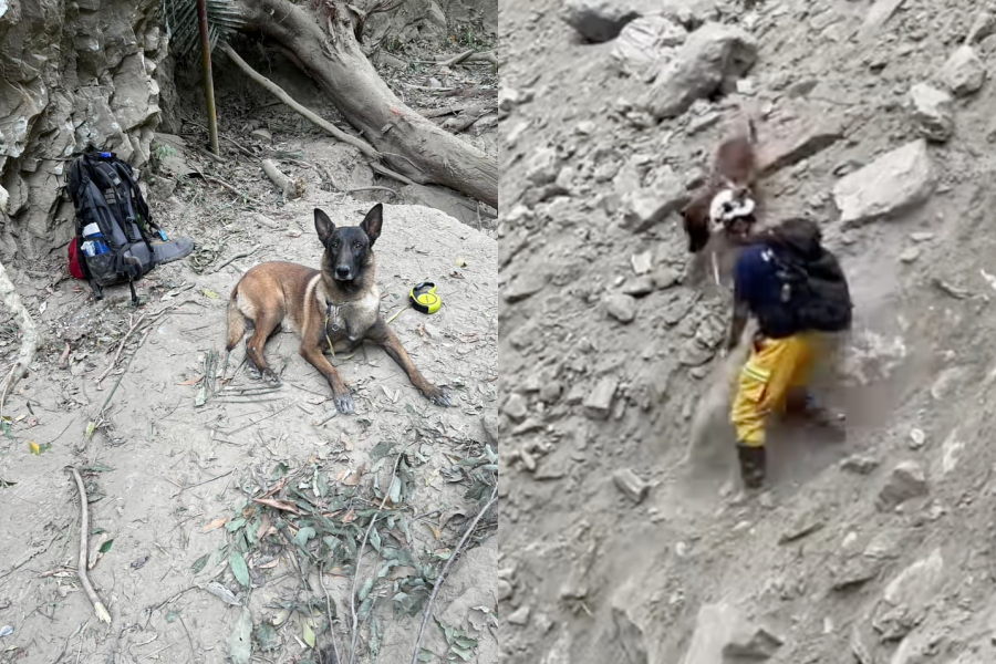 搜救犬傳八與領犬員在斜坡上出任務,傳八表示:「我有照顧好把拔唷~」(翻攝自搜救犬「羅傑計劃」臉書)