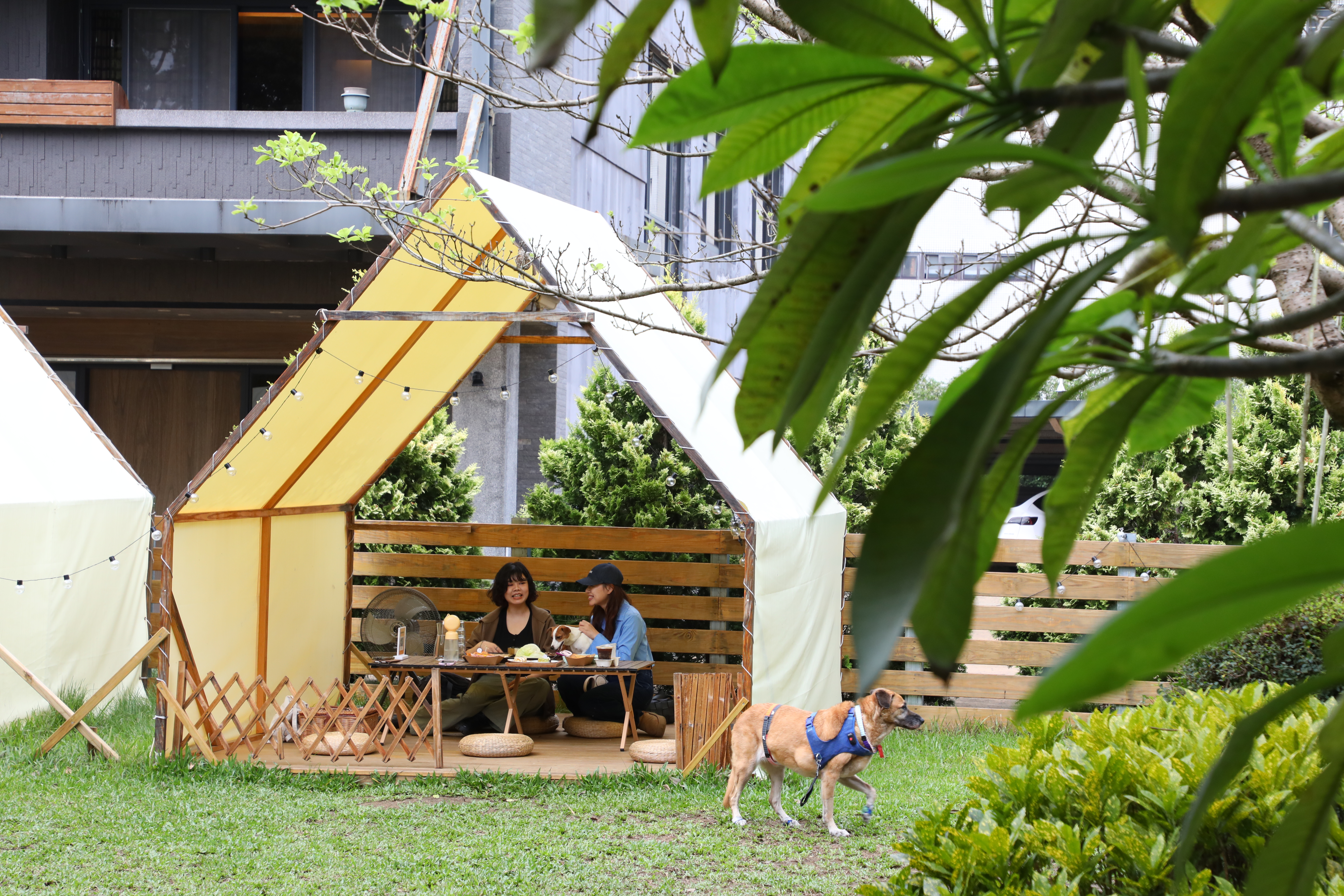 「Nose.Y Café 諾奇意咖啡」戶外設有白色帳篷座位區，結合露營風格與咖啡廳氛圍，是桃園超人氣的寵物友善餐廳。