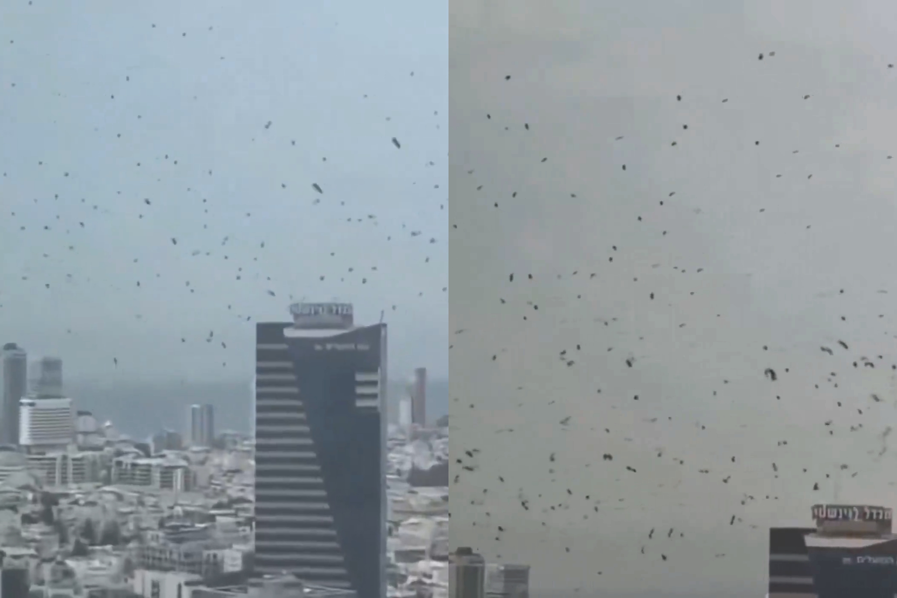 以色列特拉維夫上空25日被拍到烏鴉盤旋。（翻攝X@Jvnior）