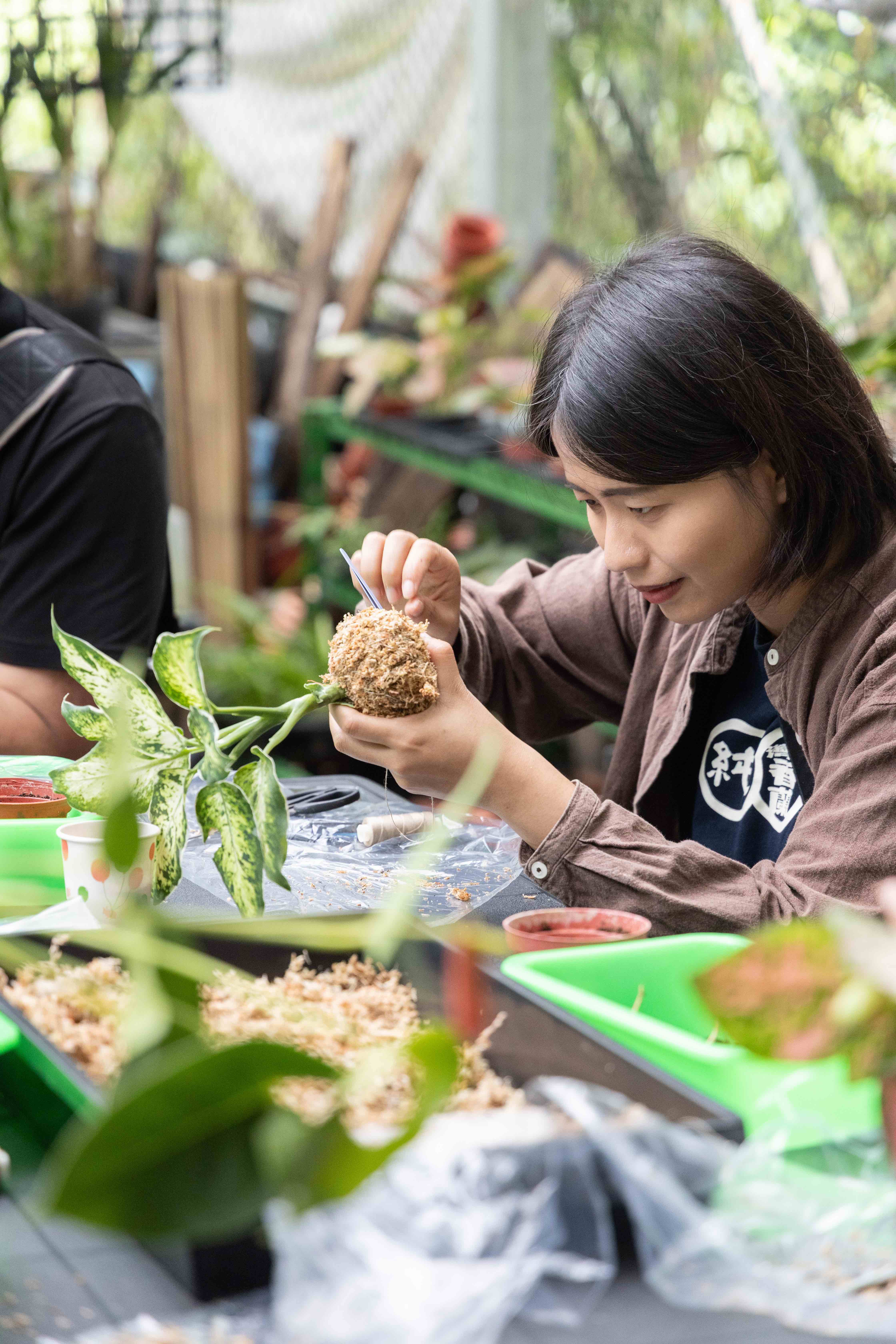 參加「療癒造型苔球」DIY與植栽體驗，可親手感受植物的生命力。