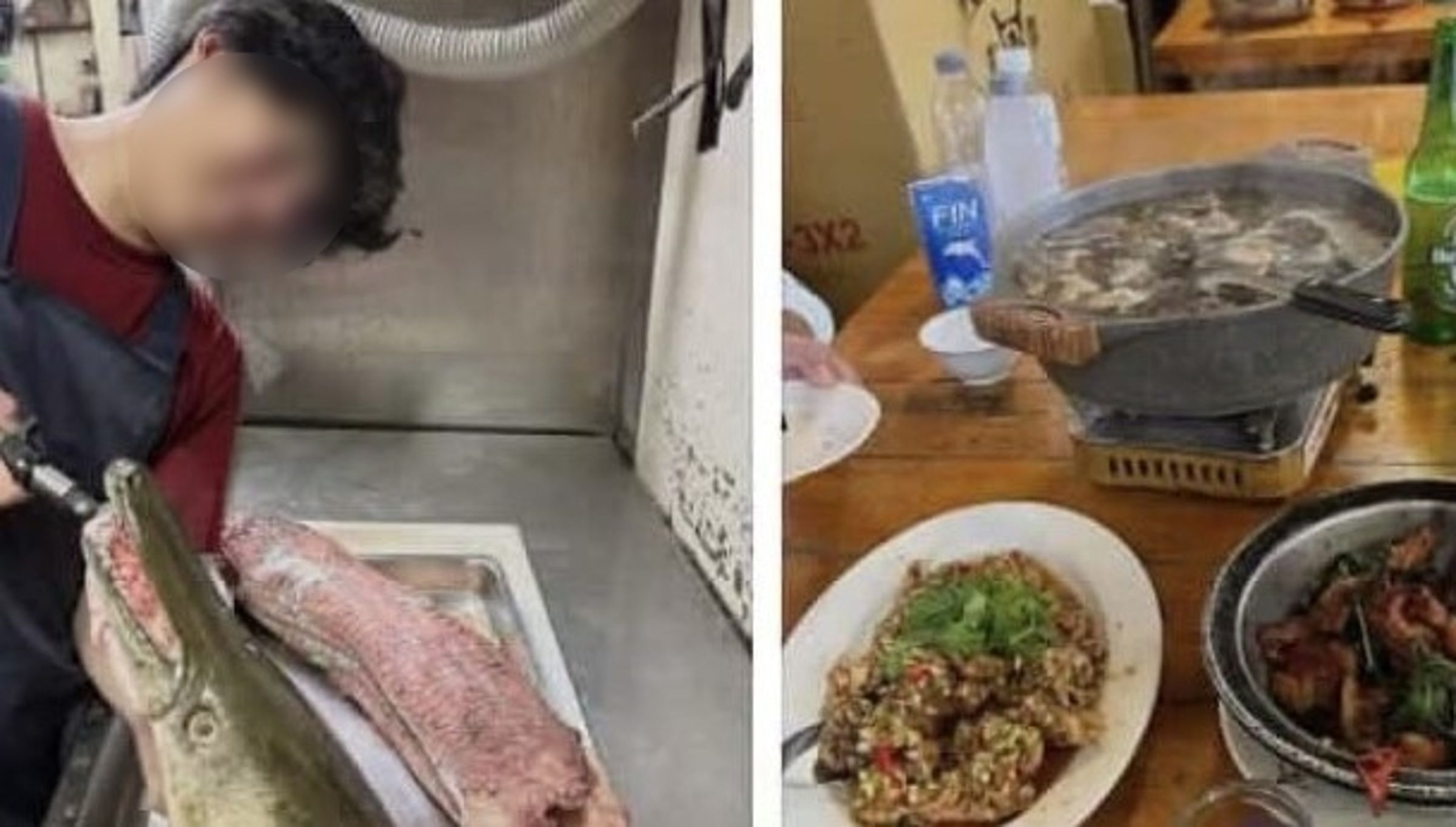 成大釣魚社發文分享北市228公園的鱷雀鱔被抓去熱炒店煮來吃，引發網友撻伐。（翻攝臉書）