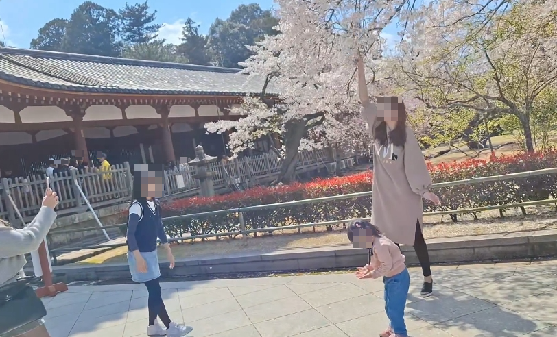 一名台灣遊客赴日賞櫻，卻在與櫻花拍照時出現失格行為，令網友們一肚子火。（翻攝自threads @yakisenbei2014）