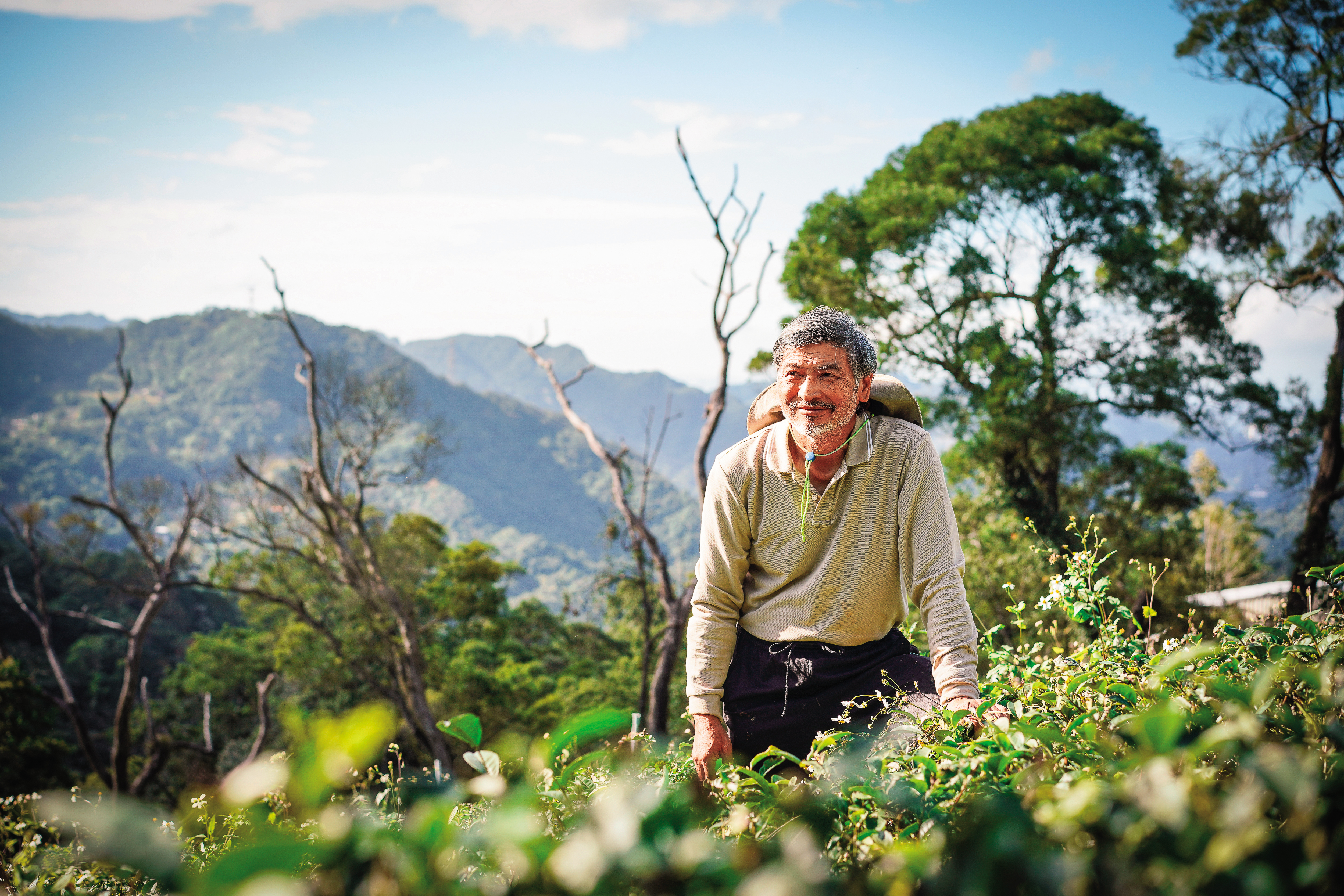 郭明政有「大砲校長」之稱，退休後種茶、種菜、種花成為日常。