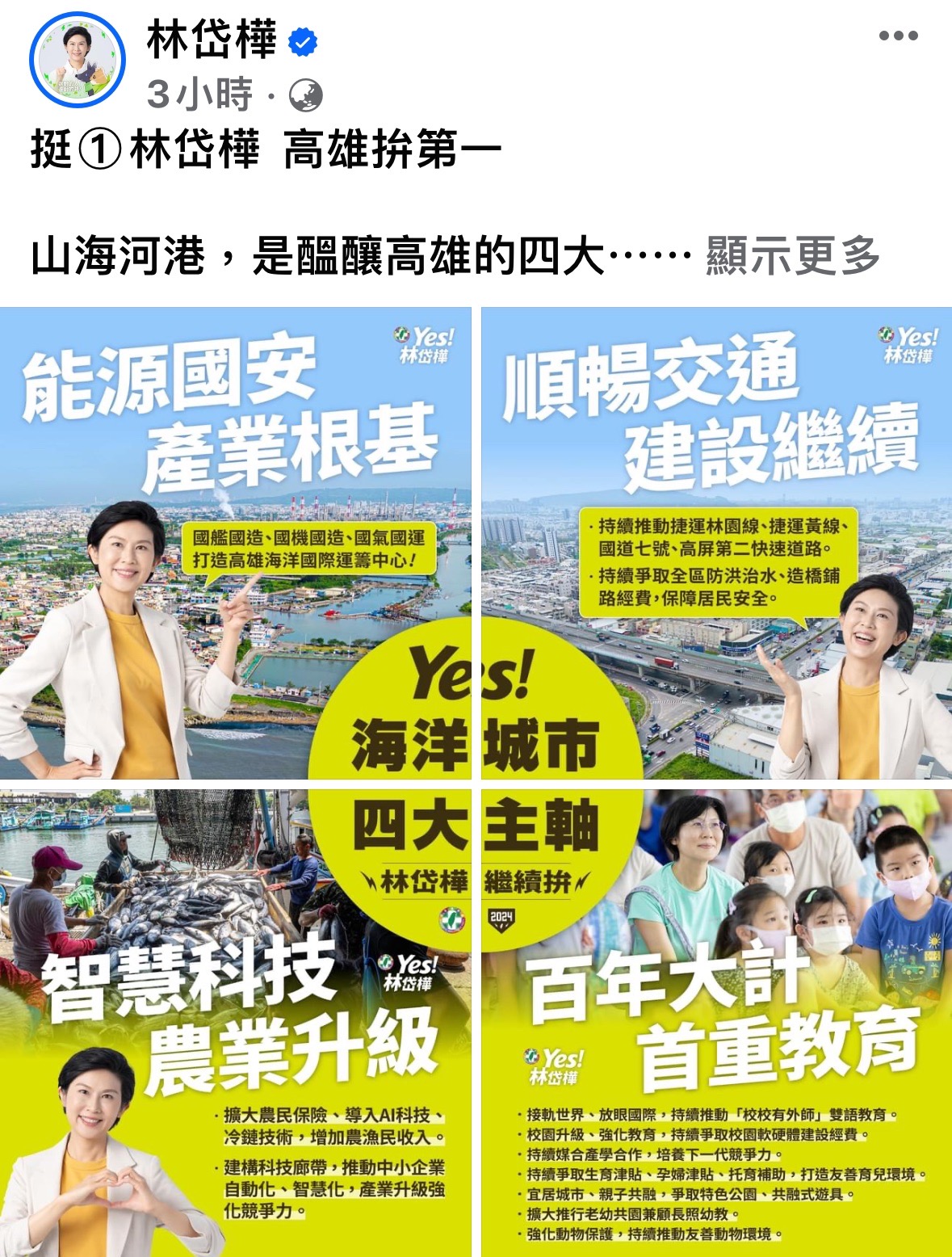 民進黨第四選區立委候選人林岱樺，今（21）針對高雄城市未來願景，提出四大海洋城市發展主軸。（:翻攝林岱樺粉絲專頁）