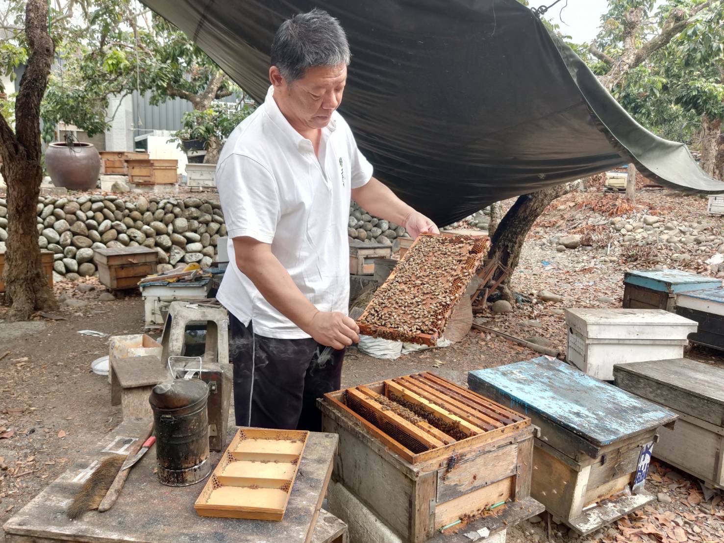 日華蜂場現任場主李東峰發揮所學,讓更多人認識來自彰化的甜蜜「蜂」香。