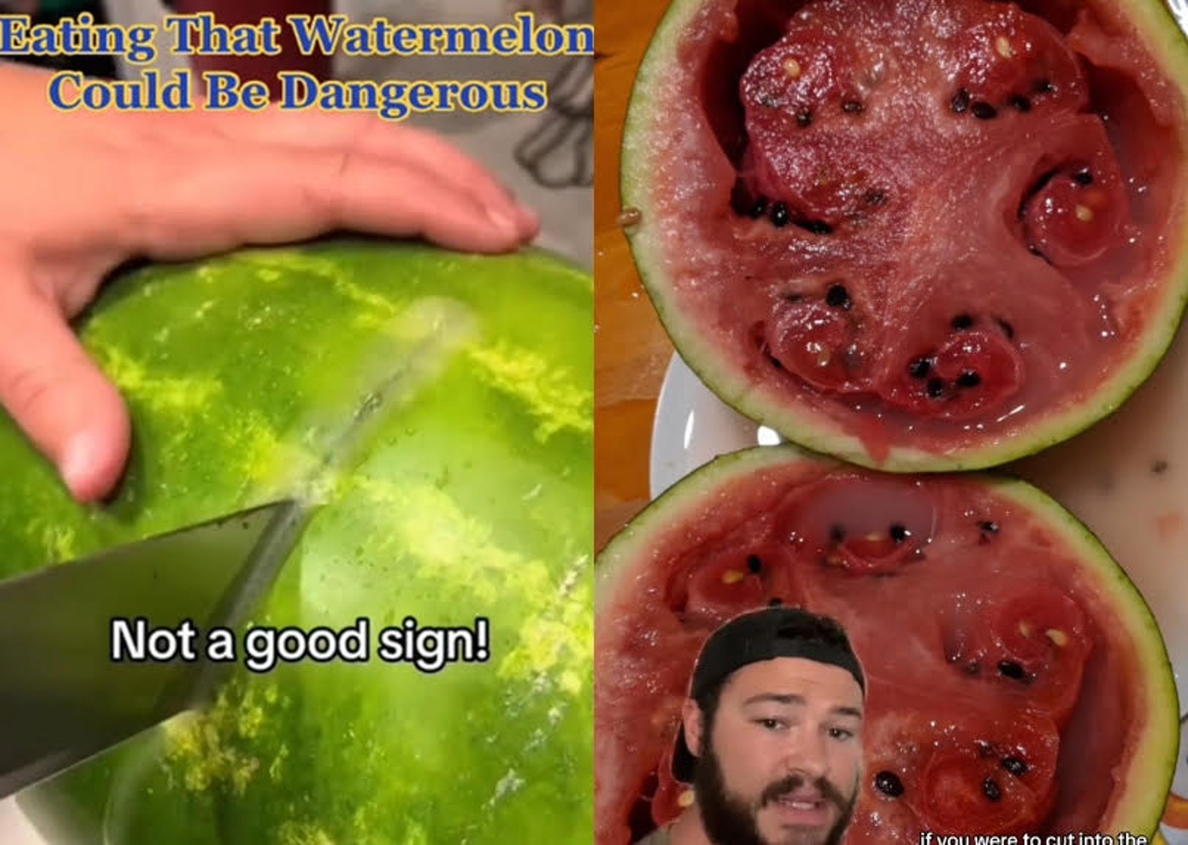 網友警告冒泡的西瓜請勿食用,以免食物中毒。(翻攝tiktok@idcsterling)