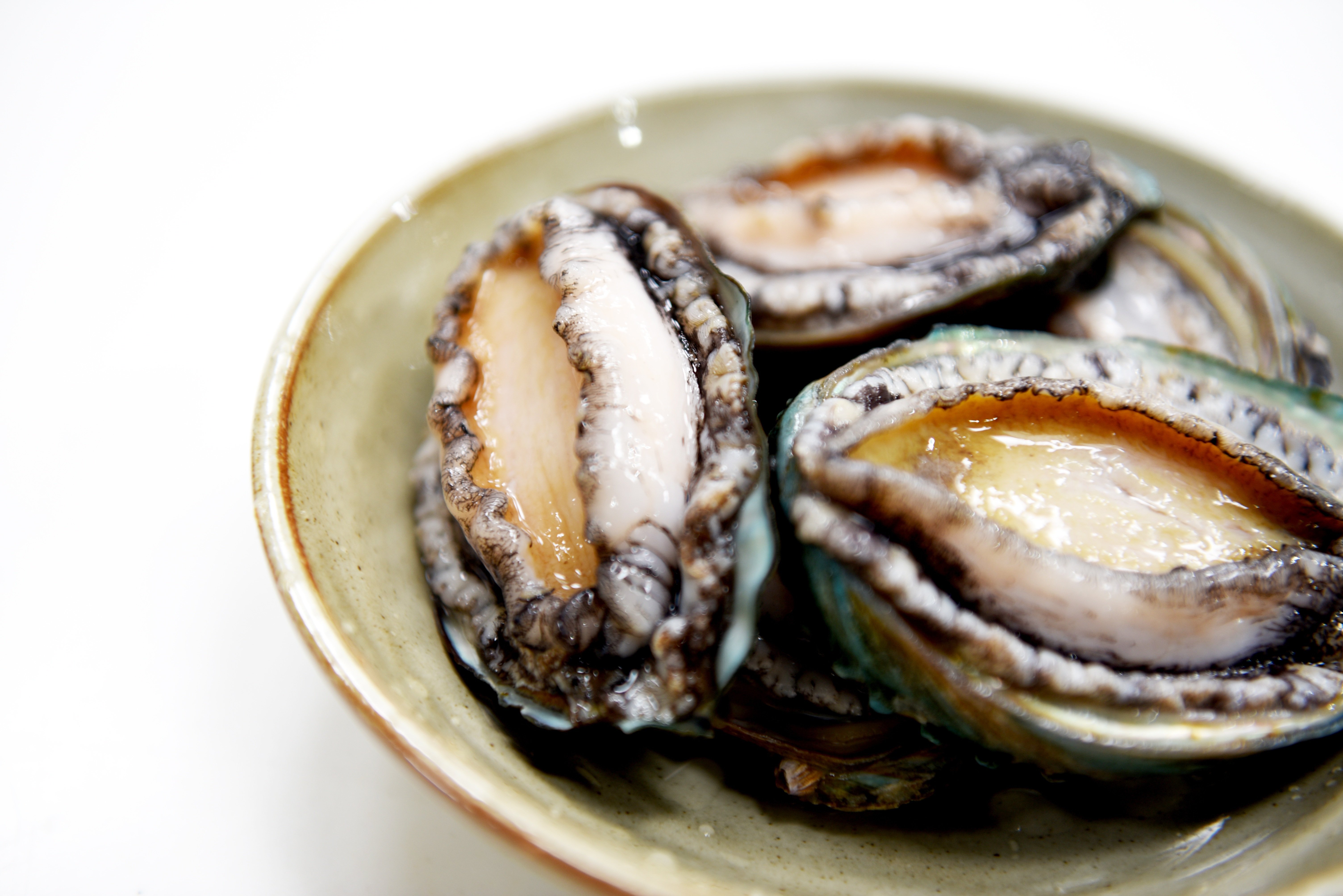 高中老師PO「手摸鮑魚」猥褻片!配情歌喊:別玩食物 學生崩潰作嘔…校方回應了