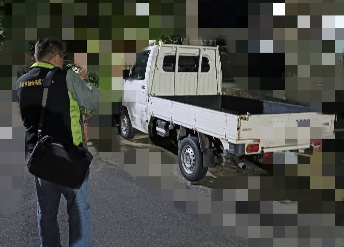 飼主稱犬隻不慎掙脫鍊繩逃脫，現已不知去向。（南市動保處提供）