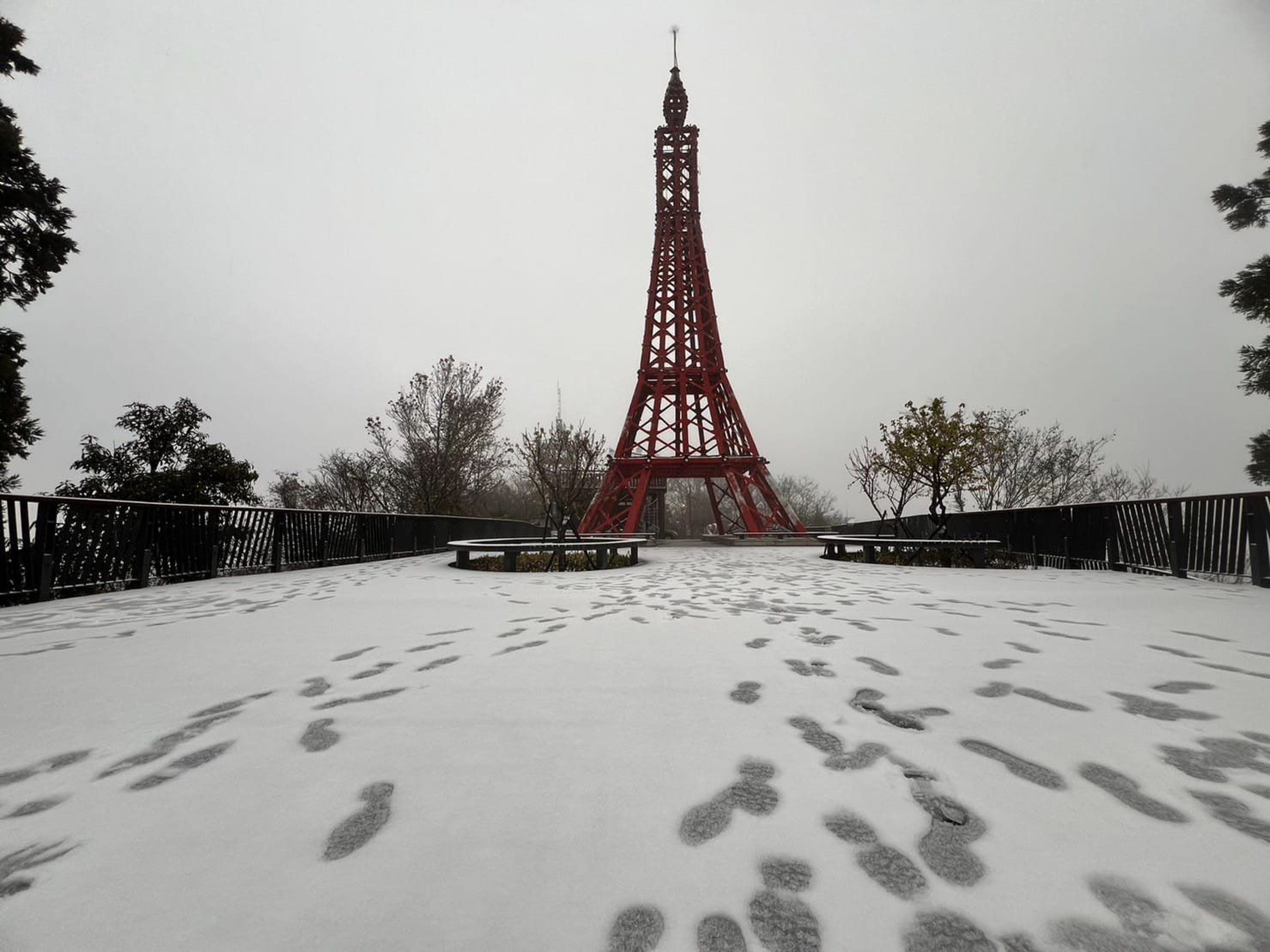 桃園市復興區今晨開始飄雪,後山三里緊急宣布停班停課一天。(翻攝自蘇佐璽臉書)