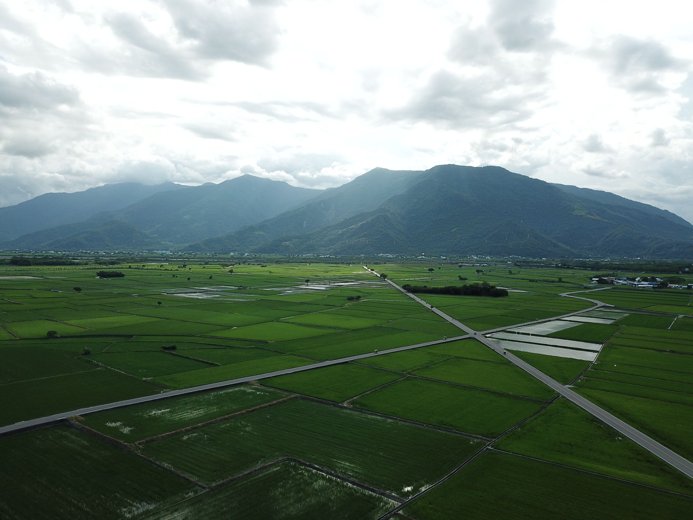 台東池上是著名的米鄉，風光優美，污染極少。（池上蒸餾所提供）