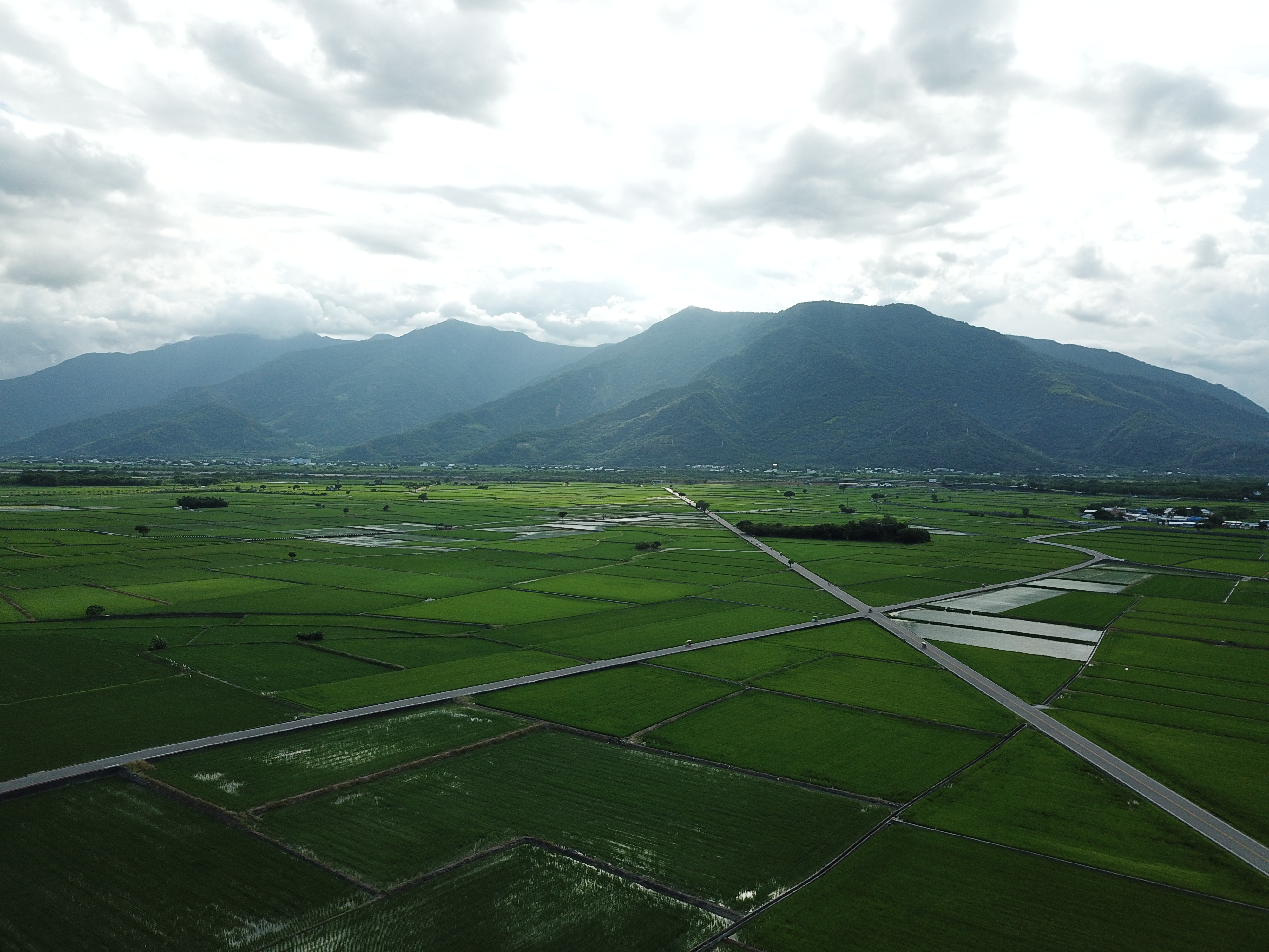 台東池上是著名的米鄉,風光優美,污染極少。(池上蒸餾所提供)