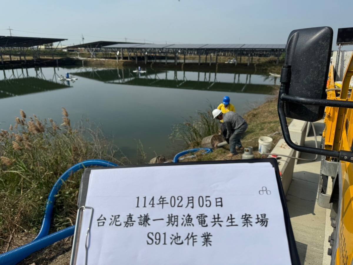台泥嘉謙綠能表示，專業養殖團隊已於2月5日依法進駐嘉義漁電共生F區爭議池，展開養殖前置作業之抽水程序，預計第一季將開始養殖吳郭魚泰國蝦鱸魚。（台泥提供）