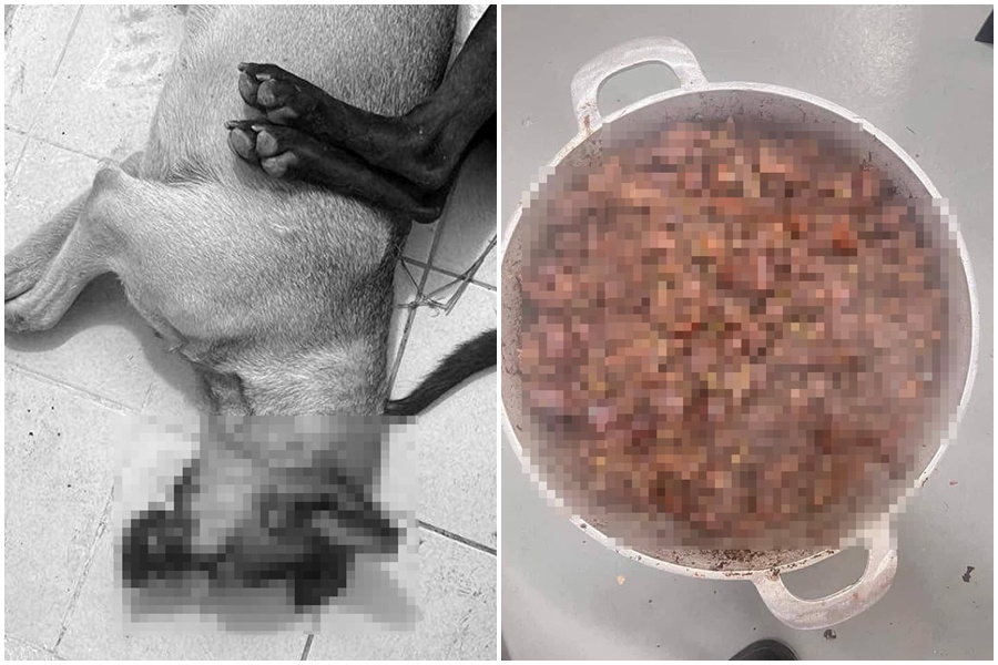 台中驚爆「賣狗肉集團」，肉塊送驗後確認為狗肉，案情待檢方後續偵辦。（翻攝自江和樹臉書）