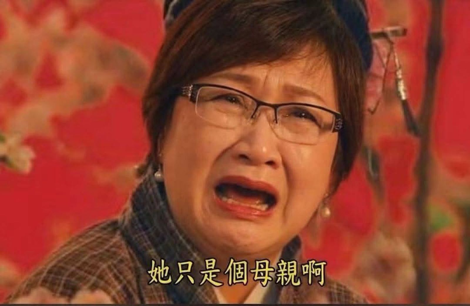 友軍也看不下去! 反共學者:外交部「母親顧兒說」無法為徐佳青開脫