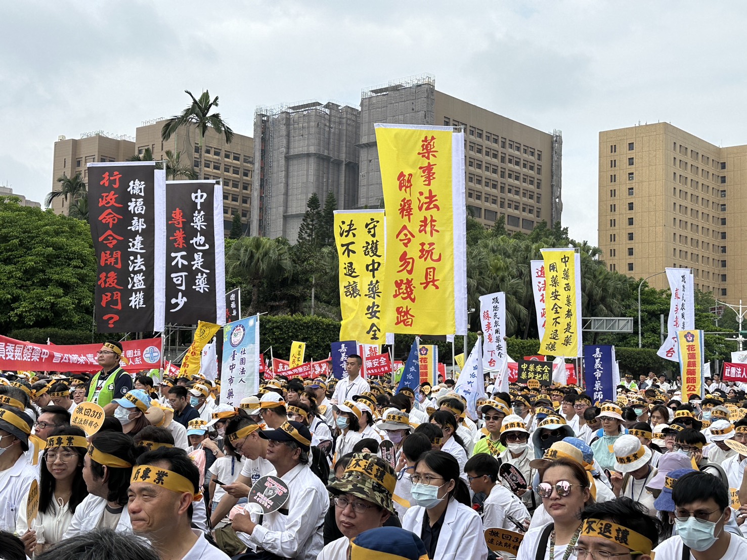 全國各地藥師團體和藥學系學生齊聚凱道抗議。