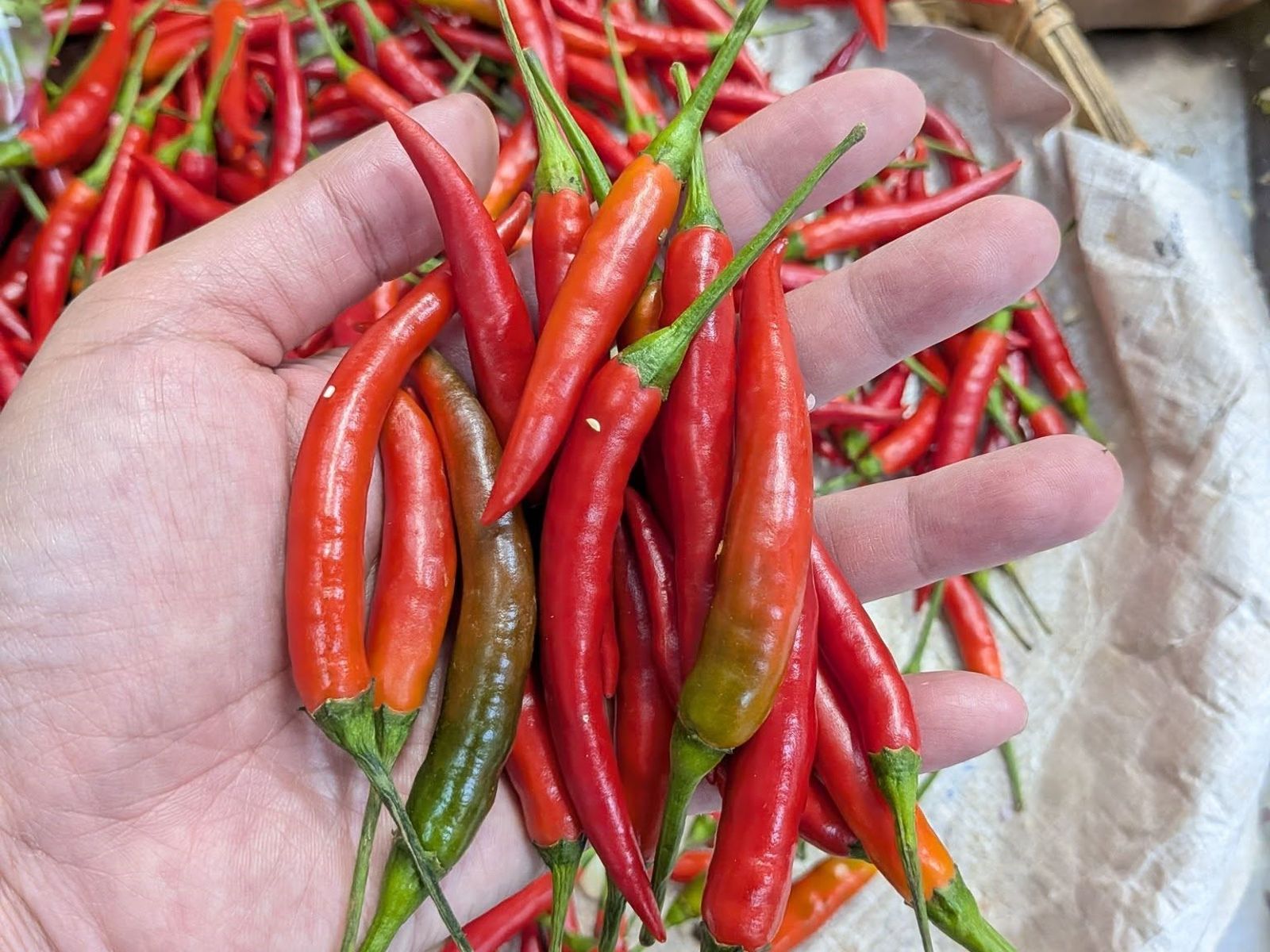 小辣椒暴漲翻倍!每台斤喊破200元 菜販:「受毒油影響」貨卡海關