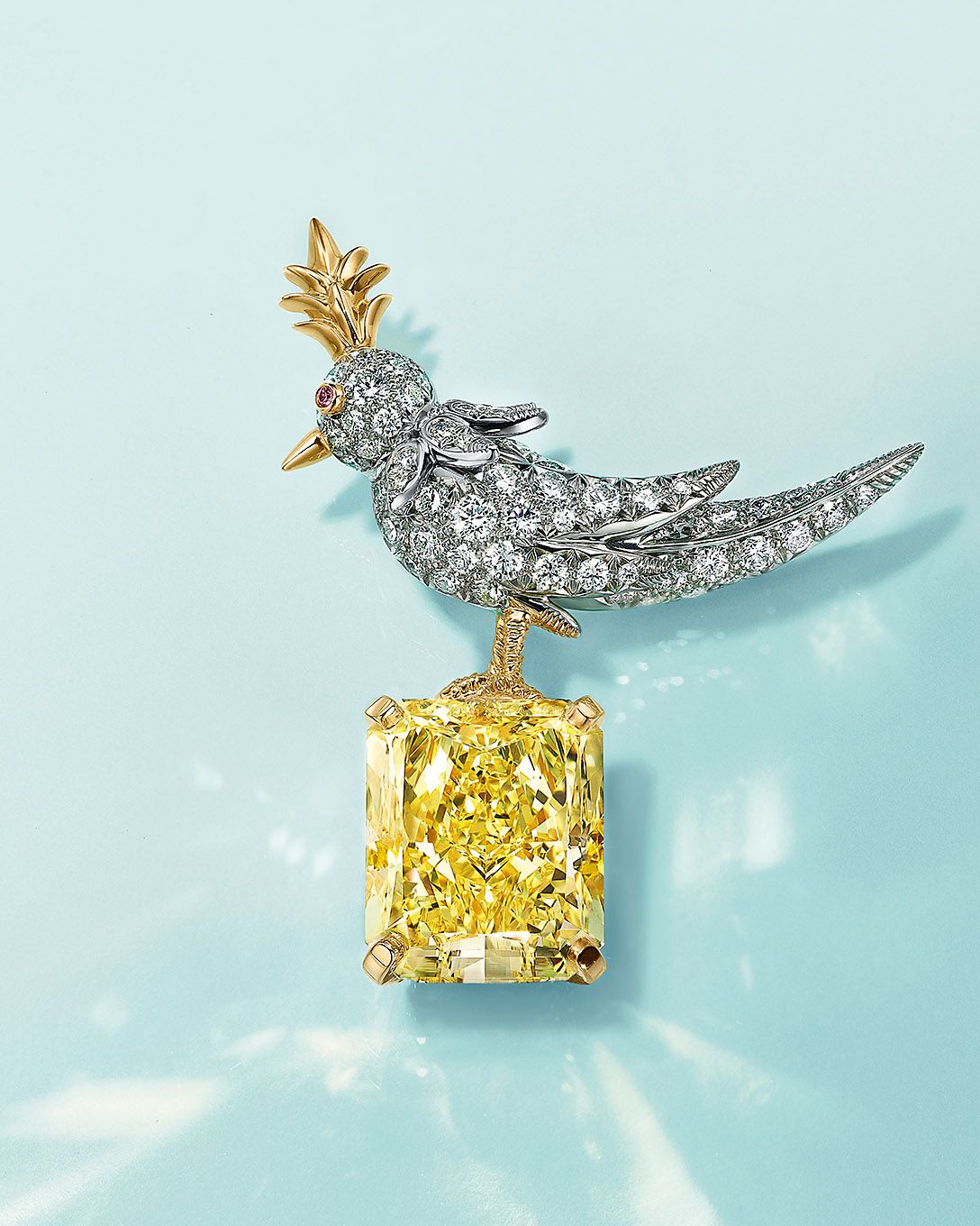 Jean Schlumberger by Tiffany Bird on a Rock 珠寶胸針。