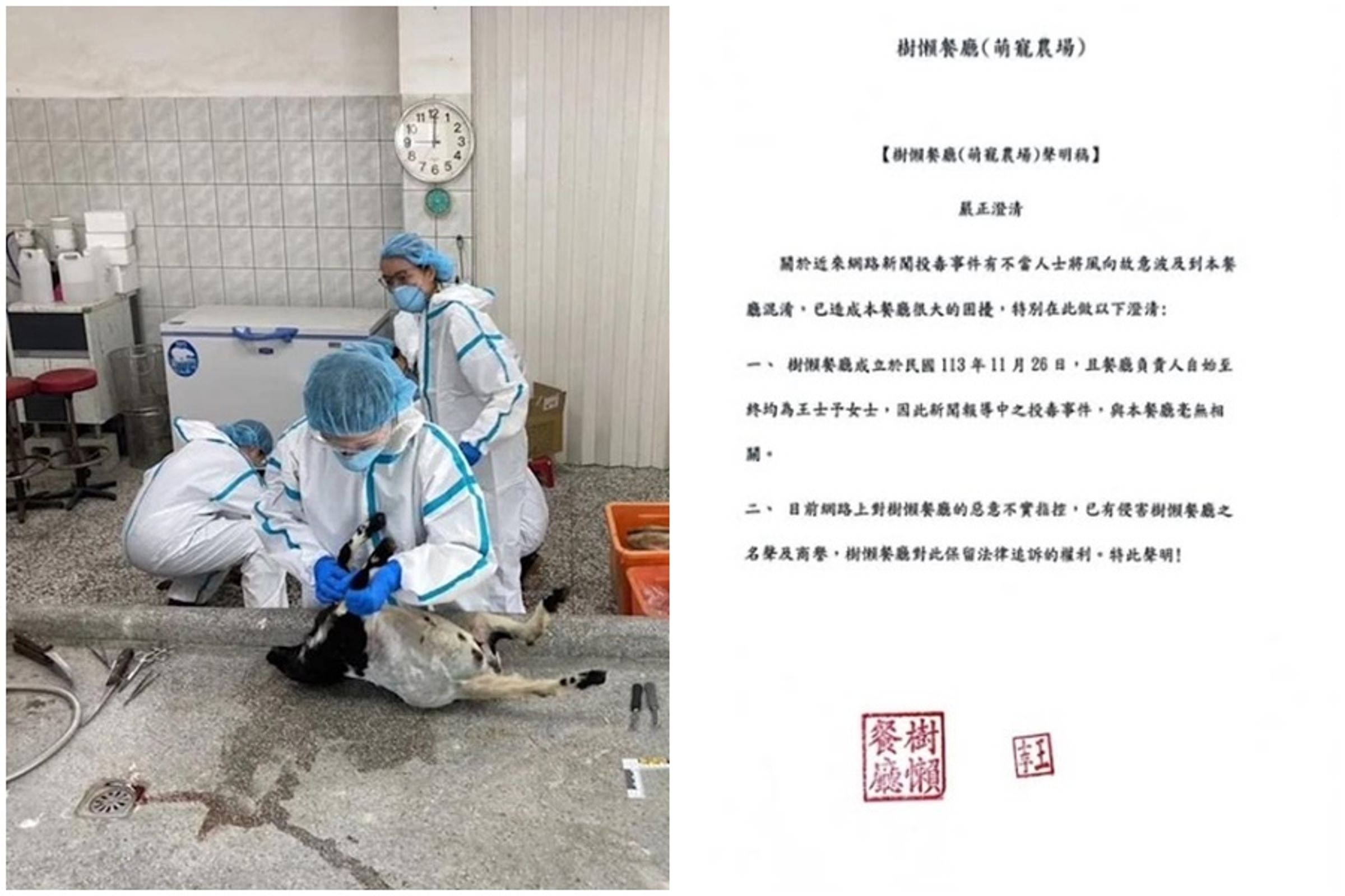王姓農場主不滿員工遭到挖角，3次操縱空拍機投毒殺害同行的羊駝，張美阿嬤農場與樹懶餐廳，發聲明切割。（翻攝畫面、張美阿嬤臉書）