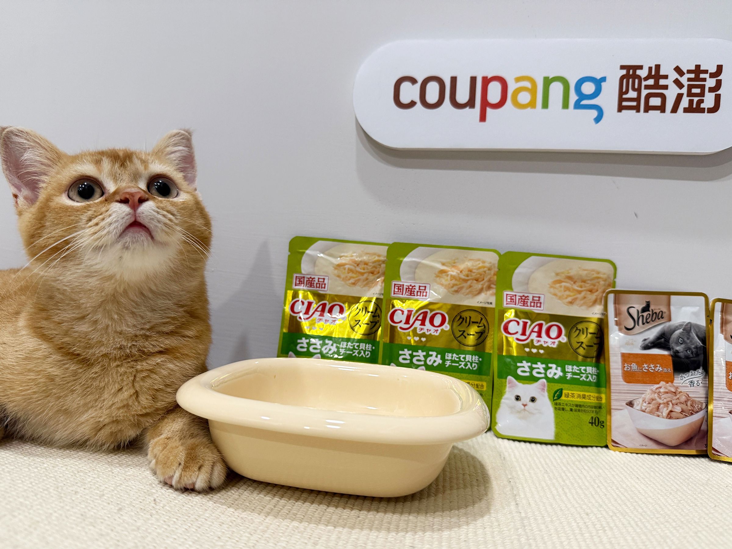 Coupang酷澎不斷強化濕糧選品，帶動犬貓濕糧在2025年上半年成為品類新秀。
