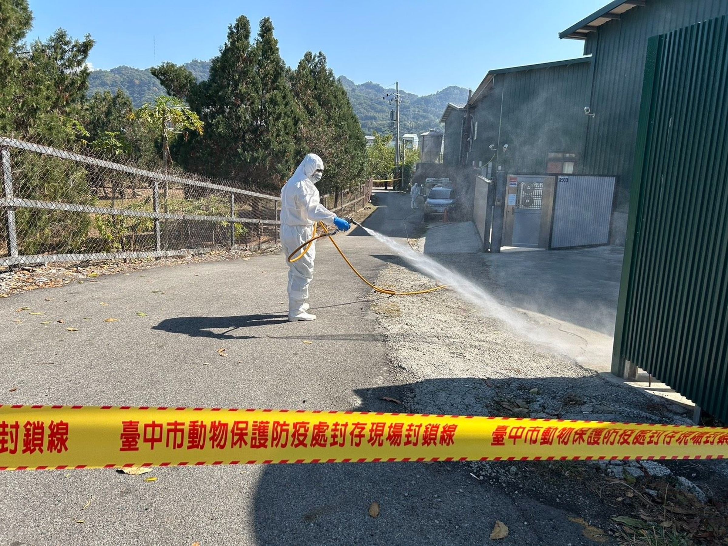 台中市豐原區一處蛋雞場驚傳爆發H5N1亞型高病原性禽流感。（台中市政府提供）