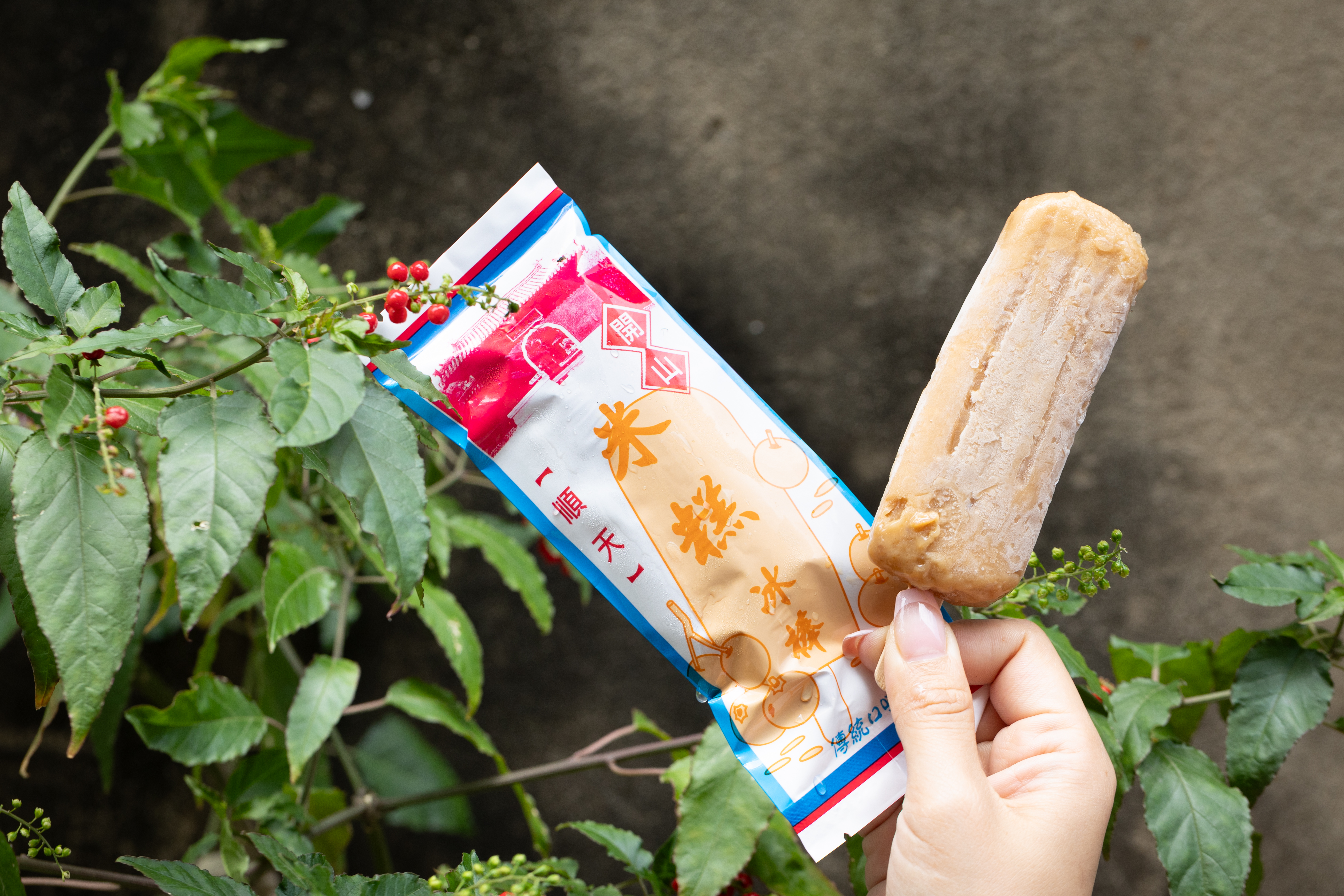 真材實料的「米糕」吃得到糯米顆粒及香氣濃郁的桂圓。（27元／支）