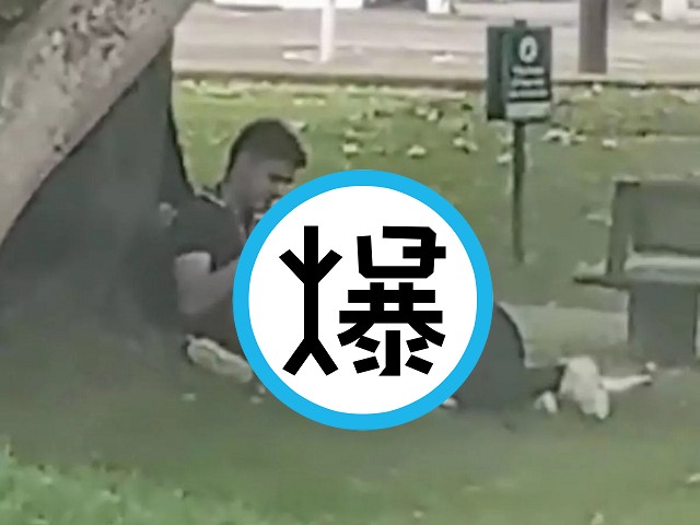 情侶就愛大樹幹!前人種樹男女做愛,鄉民拳頭硬爆。(翻自《每日星報》)