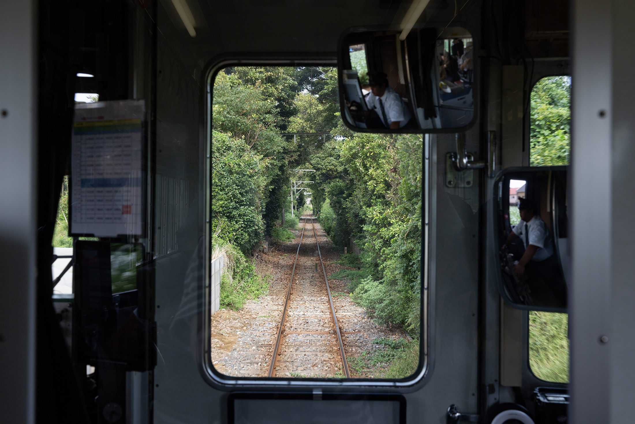 在6.4公里路途中，會經過不少綠色隧道。