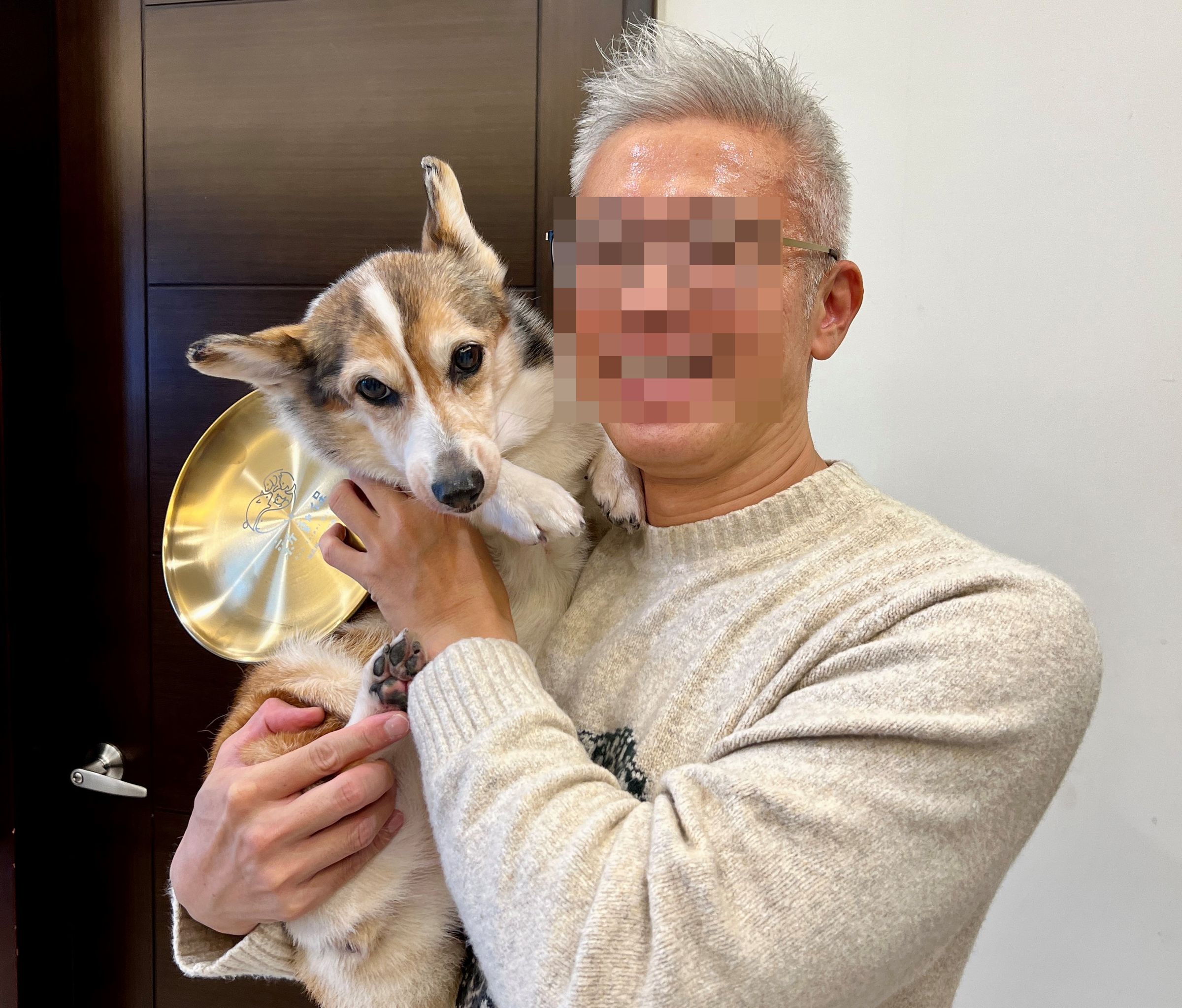 涉嫌虐犬的茶聚某加盟店負責人，曾獲頒發「金飯碗」模範飼主殊榮。（翻攝新北市政府官網）