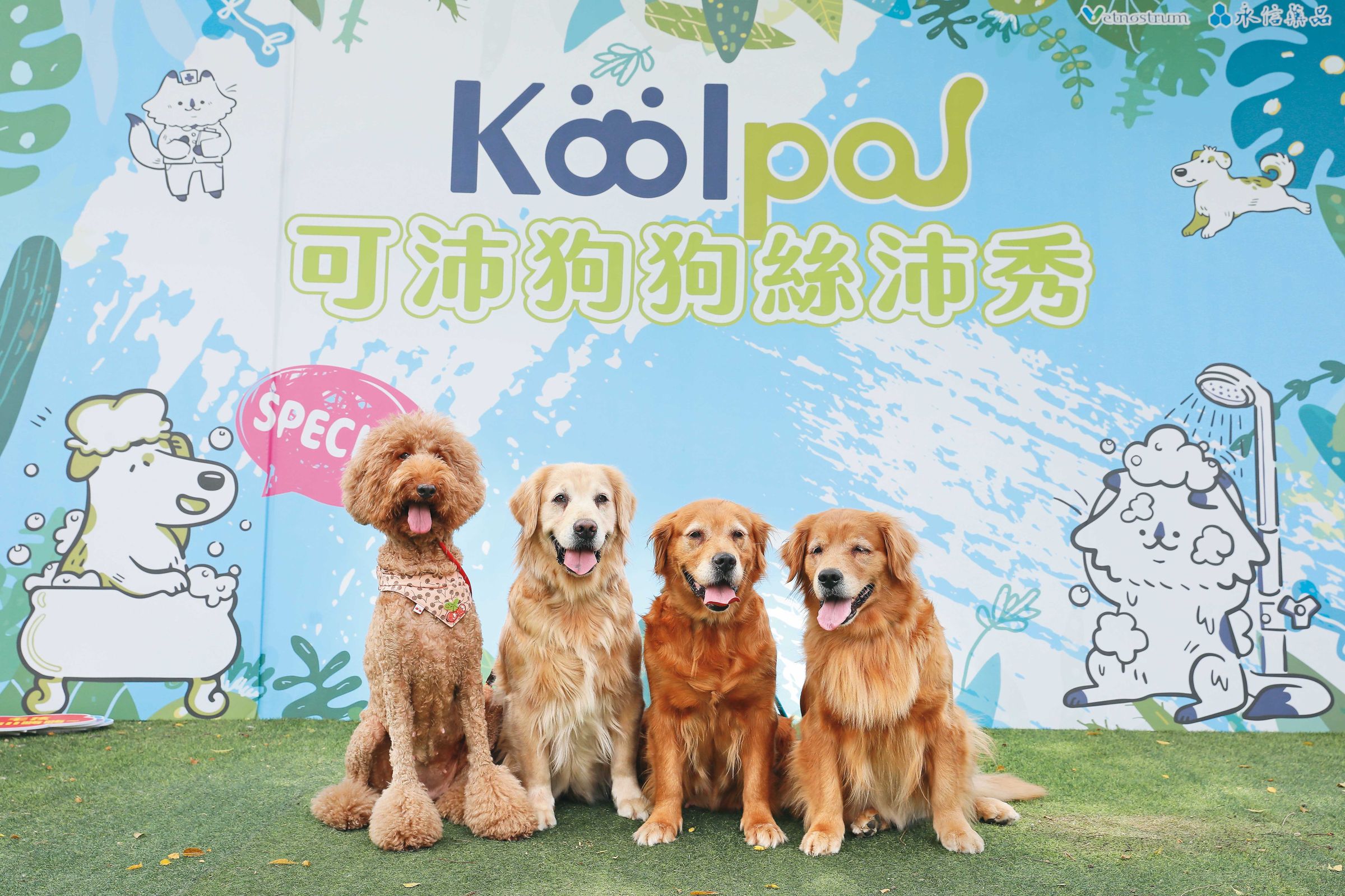 由於寵物市場逐年攀高,永鴻乾脆創立一個寵物藥新品牌可沛,專門照顧貓貓、狗狗。(永鴻國際生技提供)