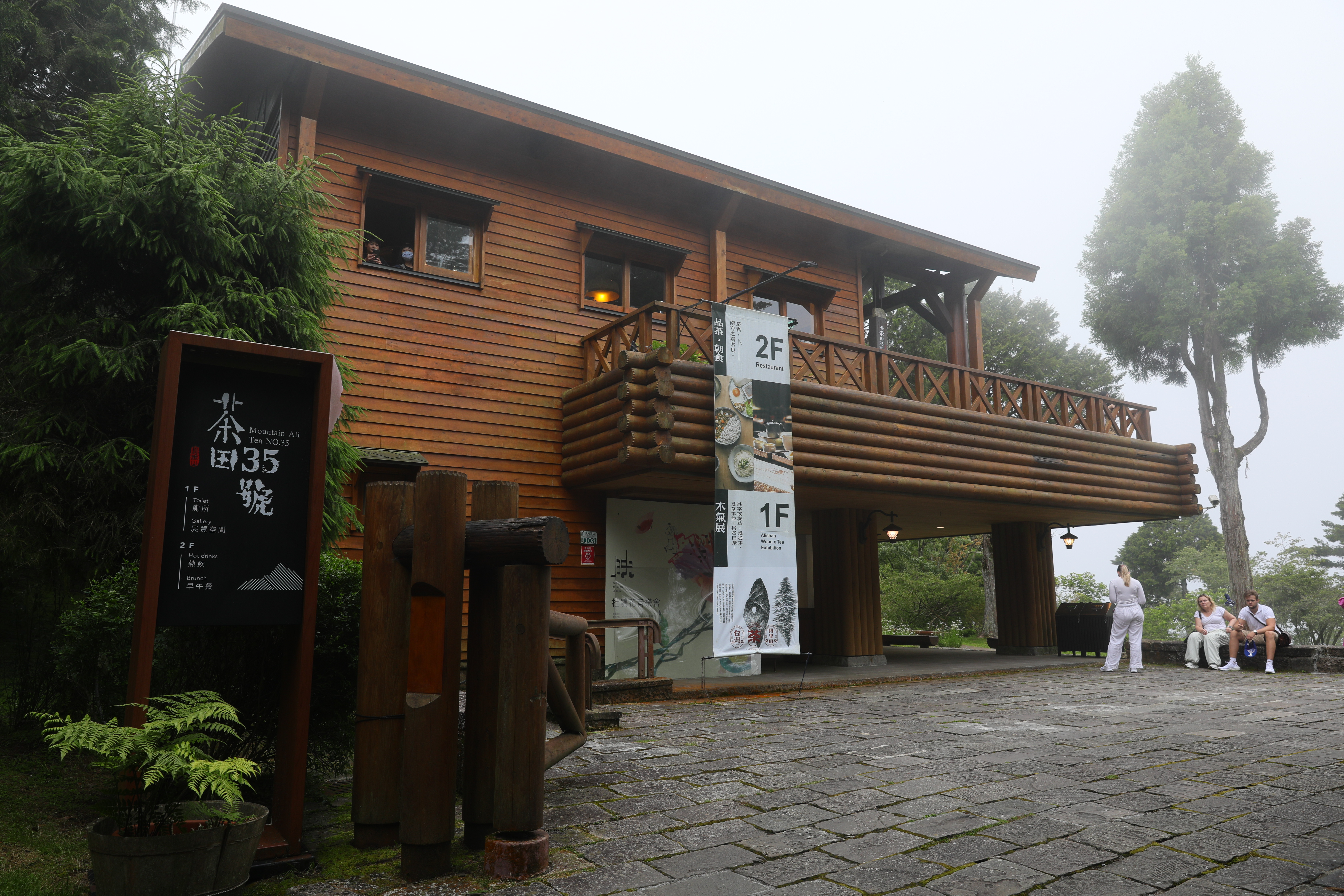 「茶田35號」位於祝山車站通往小笠原山觀景台途中。