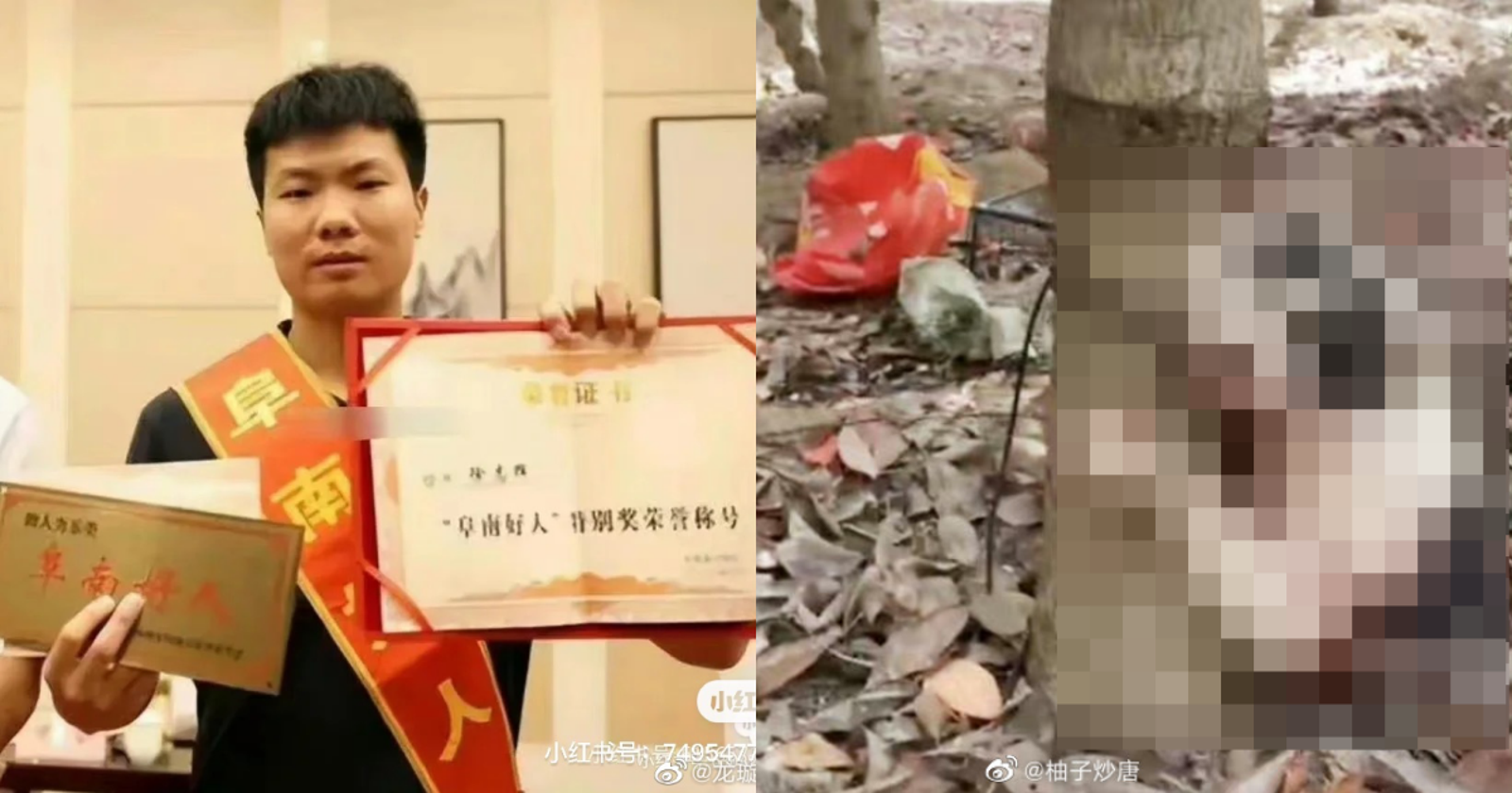 果汁機攪貓、綁樹上狂毆!傳虐貓網紅遭愛貓人士狂刺急送醫搶救 網喊:一報還一報