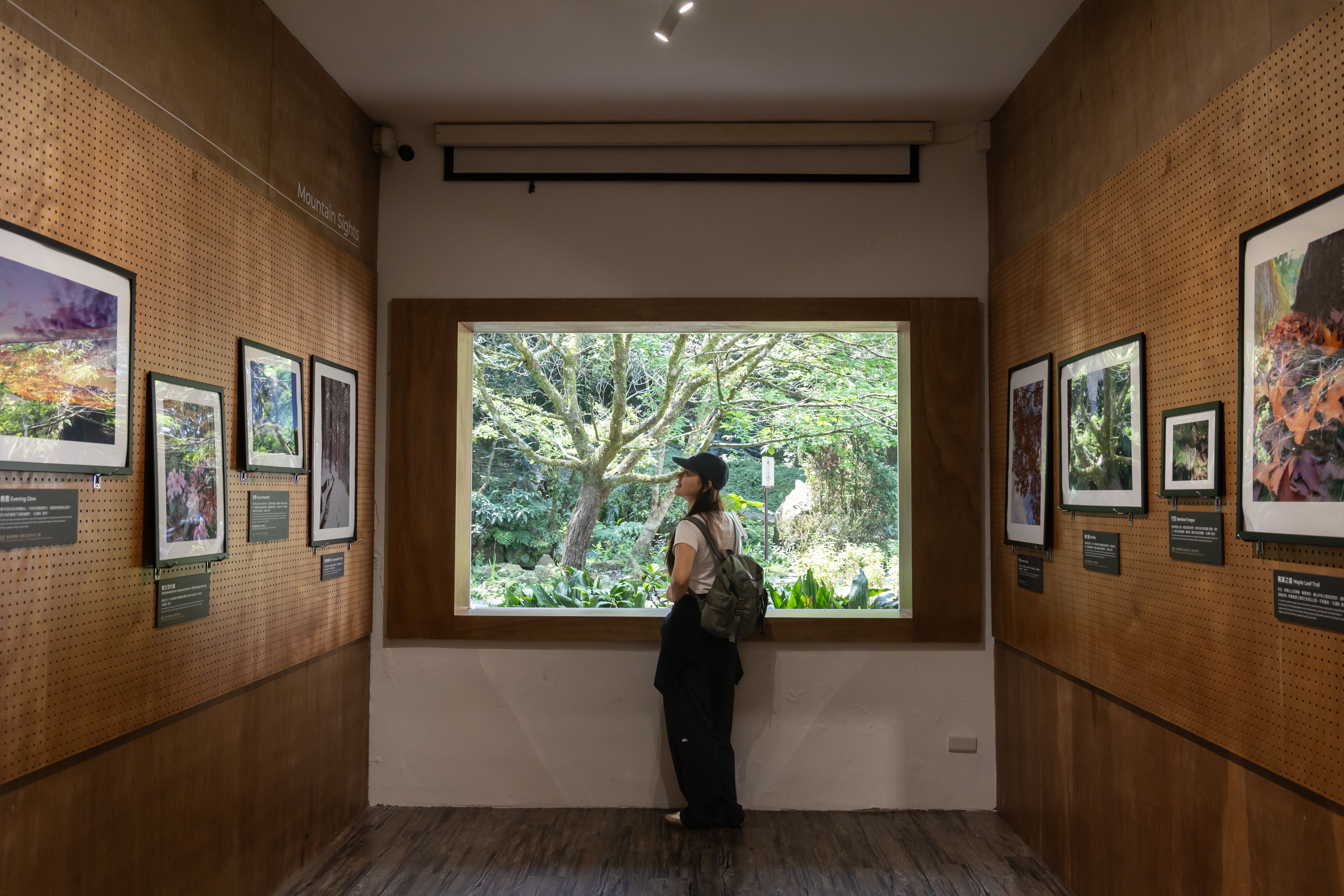 東眼山遊客中心三館空間結合展覽、教育與影像播放，打造文化與教育並存的山林基地。