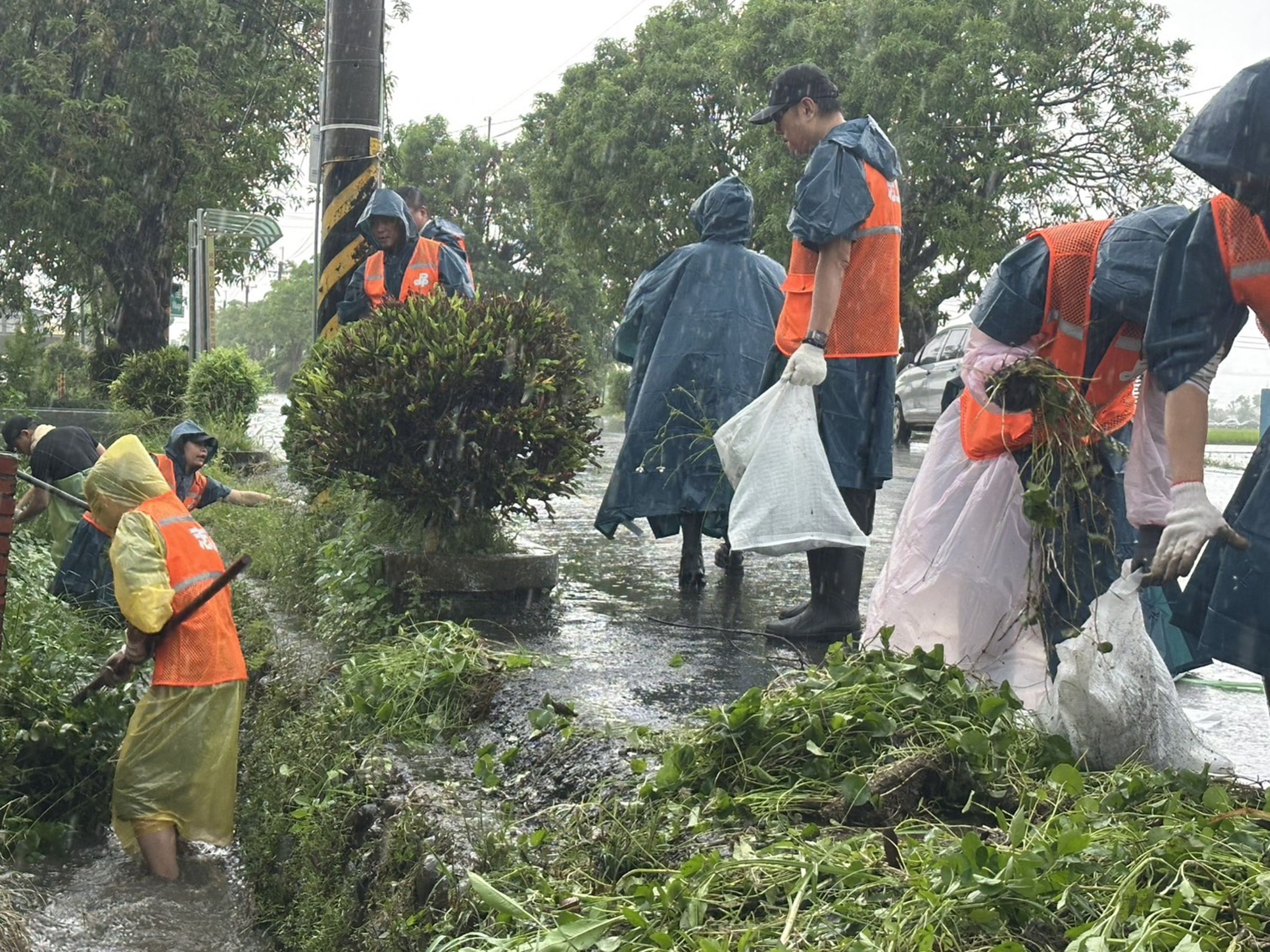 民進黨組志工團到台南後壁協助救災清淤。(民進黨提供)