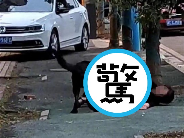 大媽當街慘遭惡犬硬上狠咬，恐怖影片曝光！死咬濺血仍不鬆口。（翻自微博）